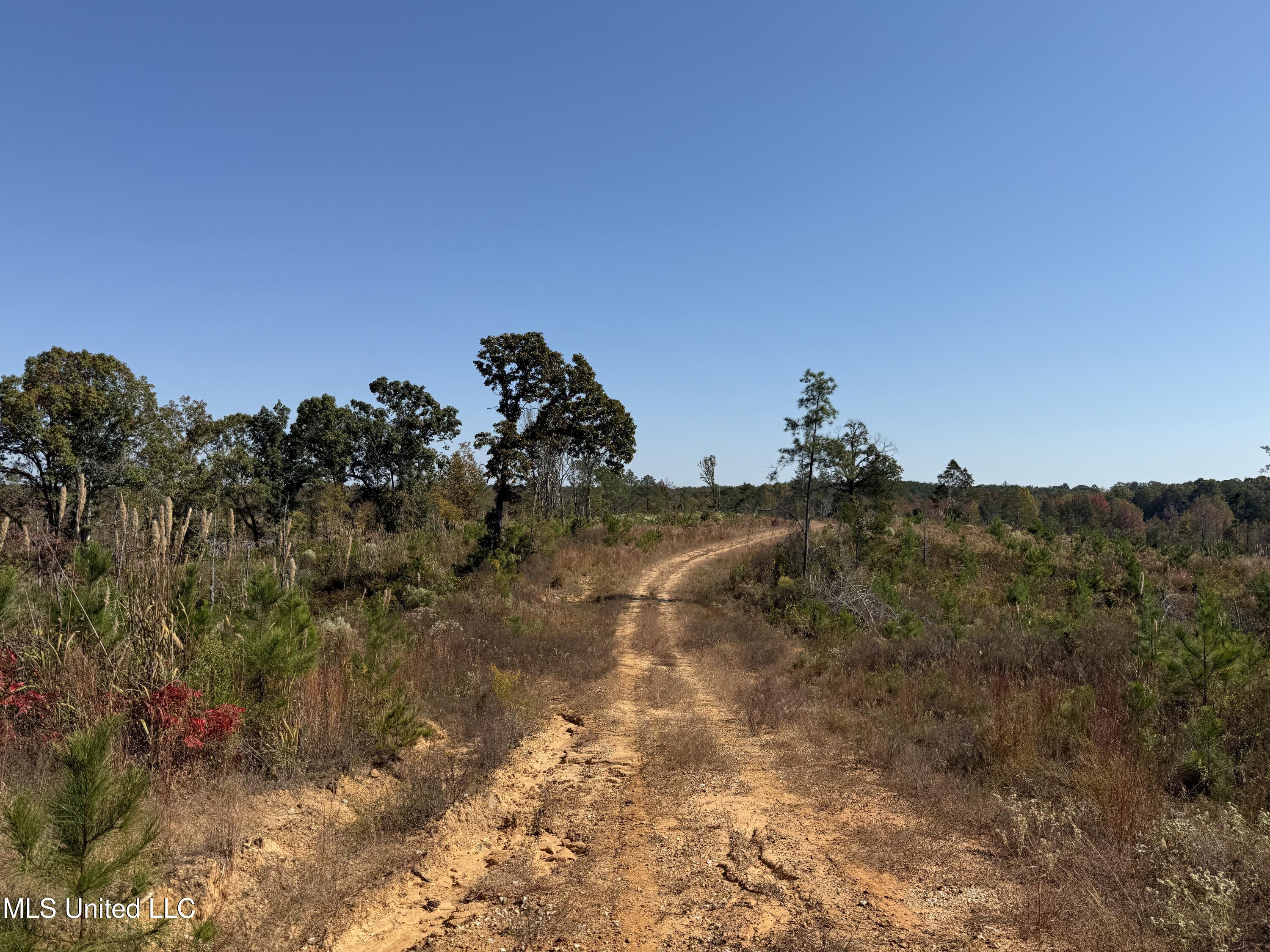 Ms-32, Water Valley, Mississippi image 8