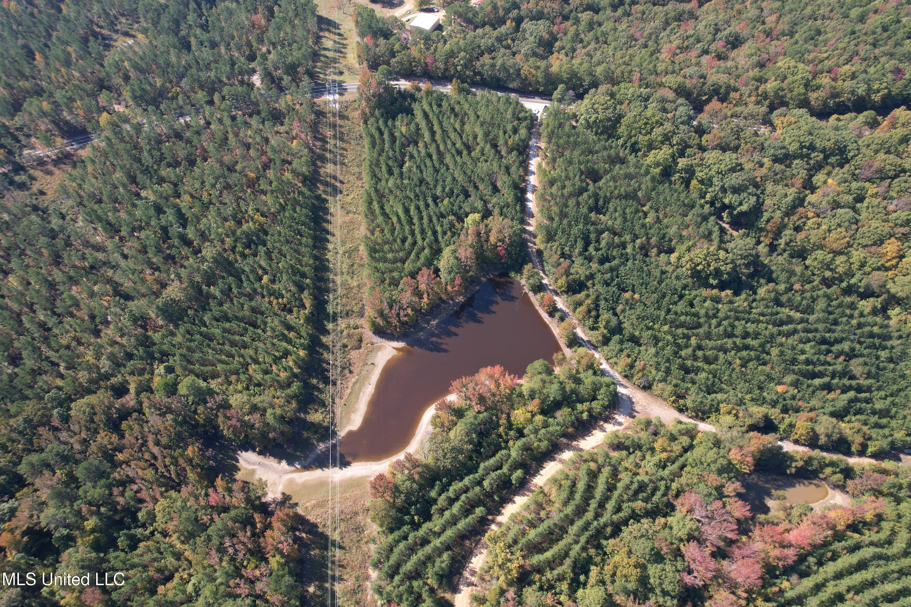 Ms-32, Water Valley, Mississippi image 4