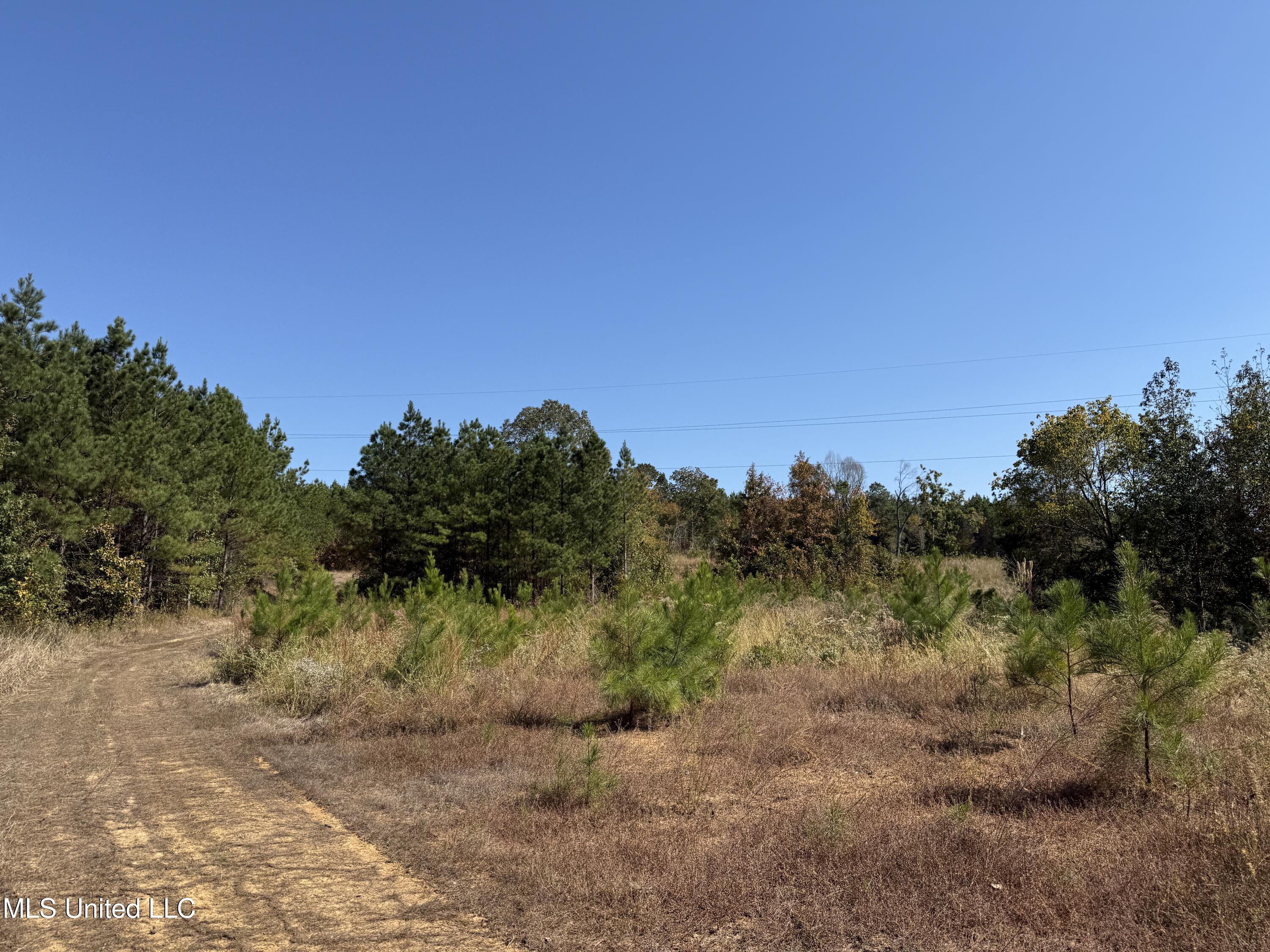 Ms-32, Water Valley, Mississippi image 17