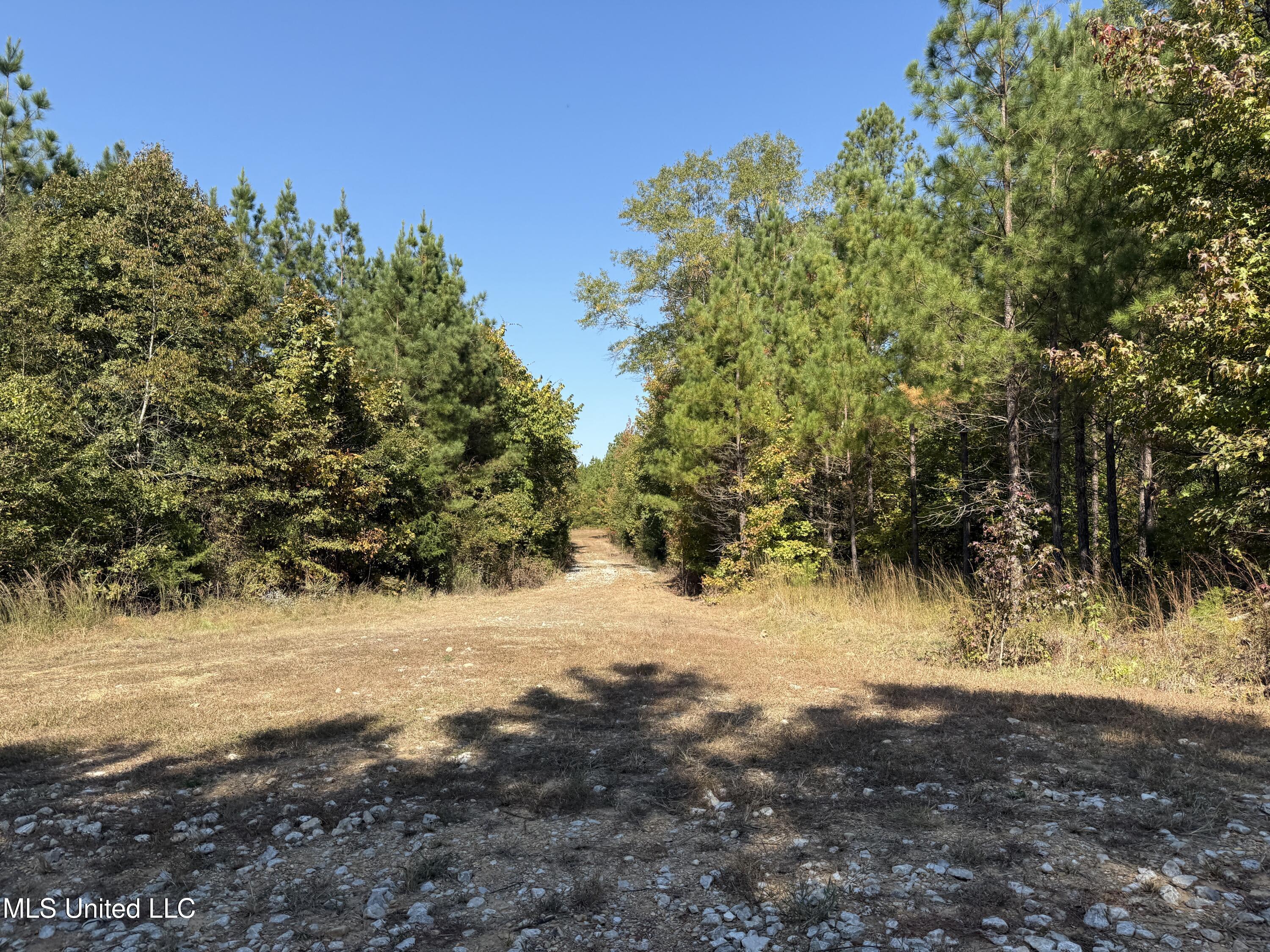 Ms-32, Water Valley, Mississippi image 7