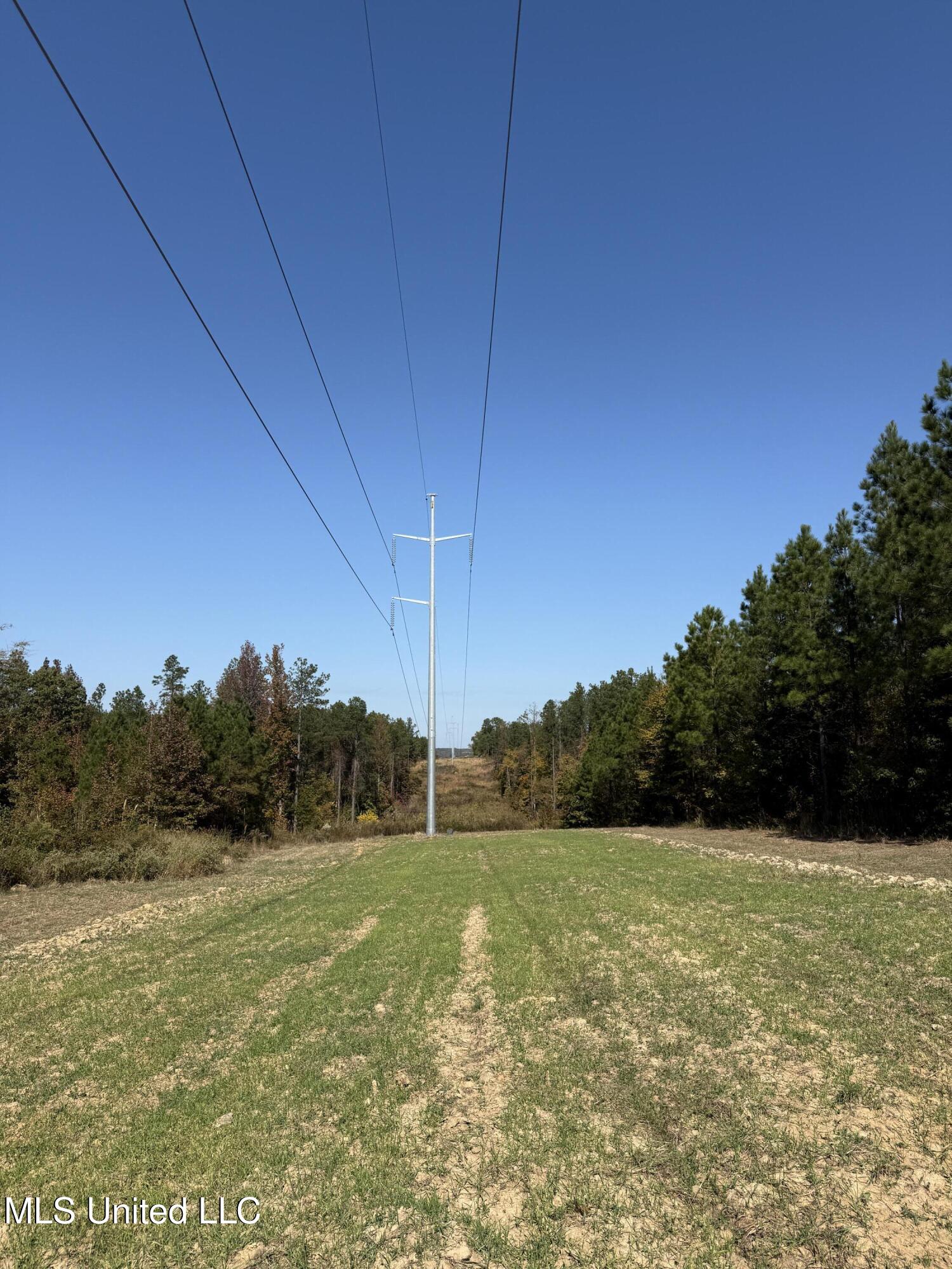 Ms-32, Water Valley, Mississippi image 18