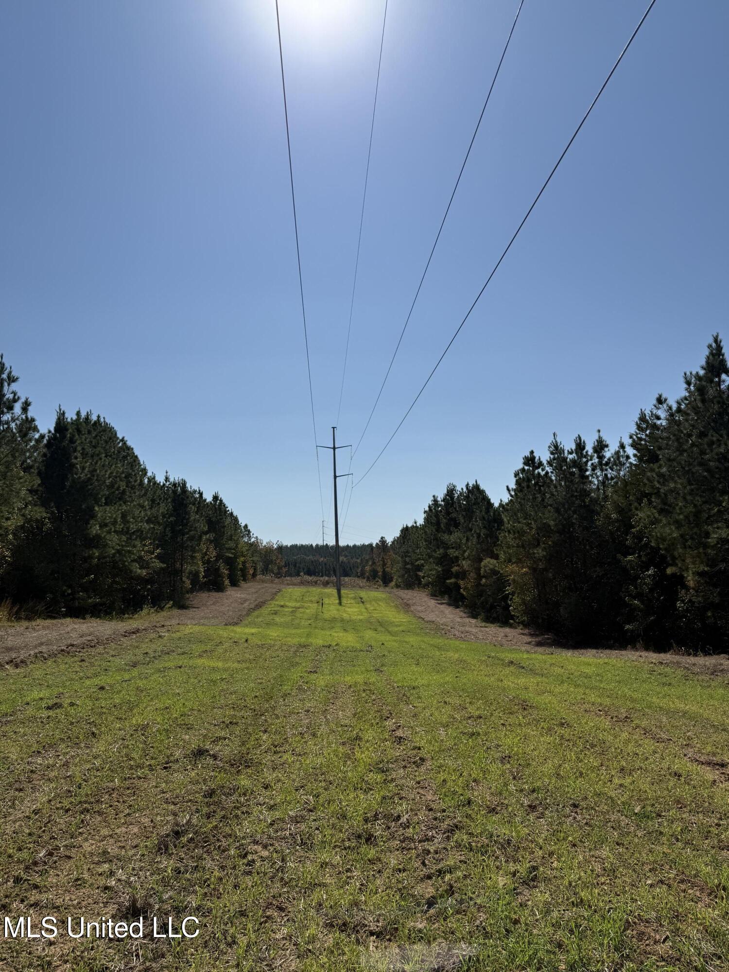 Ms-32, Water Valley, Mississippi image 19