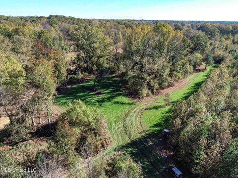 Vacant Land For Sale - Shiloh Road<br/> Panola County, Courtland, MS 38620