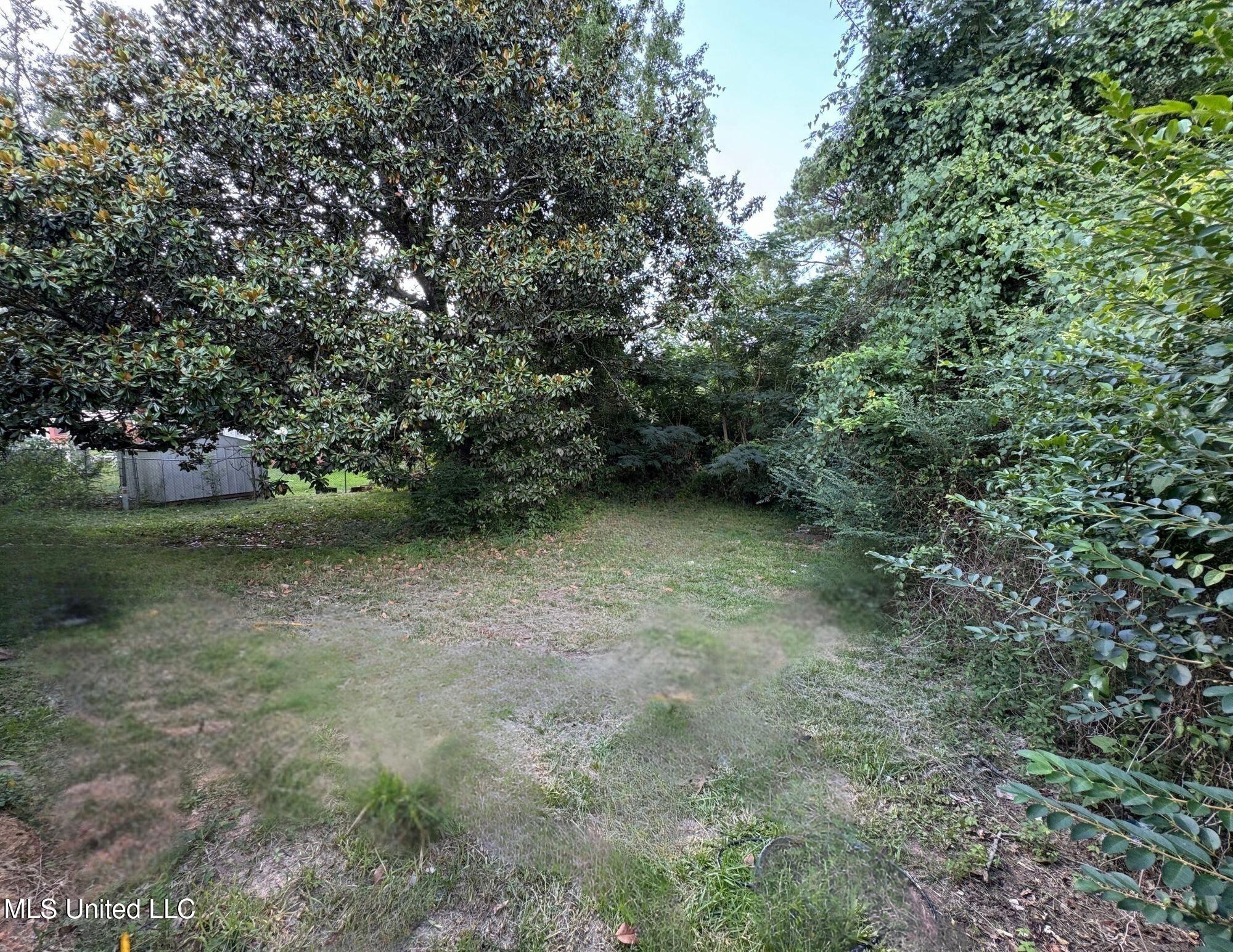 812 Carver Street, Carthage, Mississippi image 3