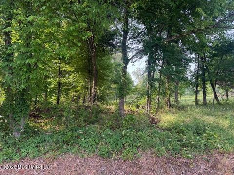 Vacant Land For Sale - Lot 1 Slocum Road<br/> Hernando, MS 38632