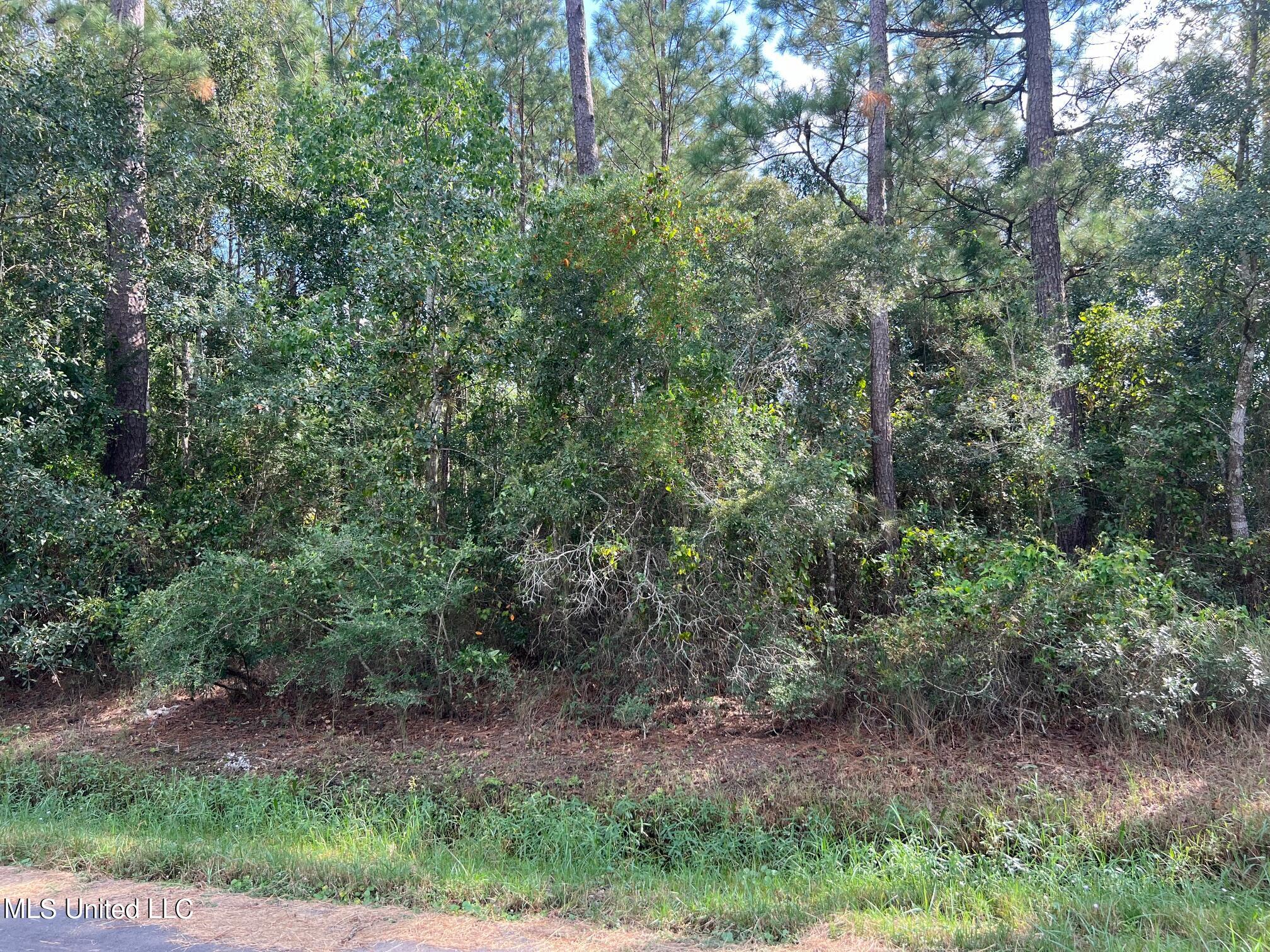 Tyler Street, Bay Saint Louis, Mississippi image 2