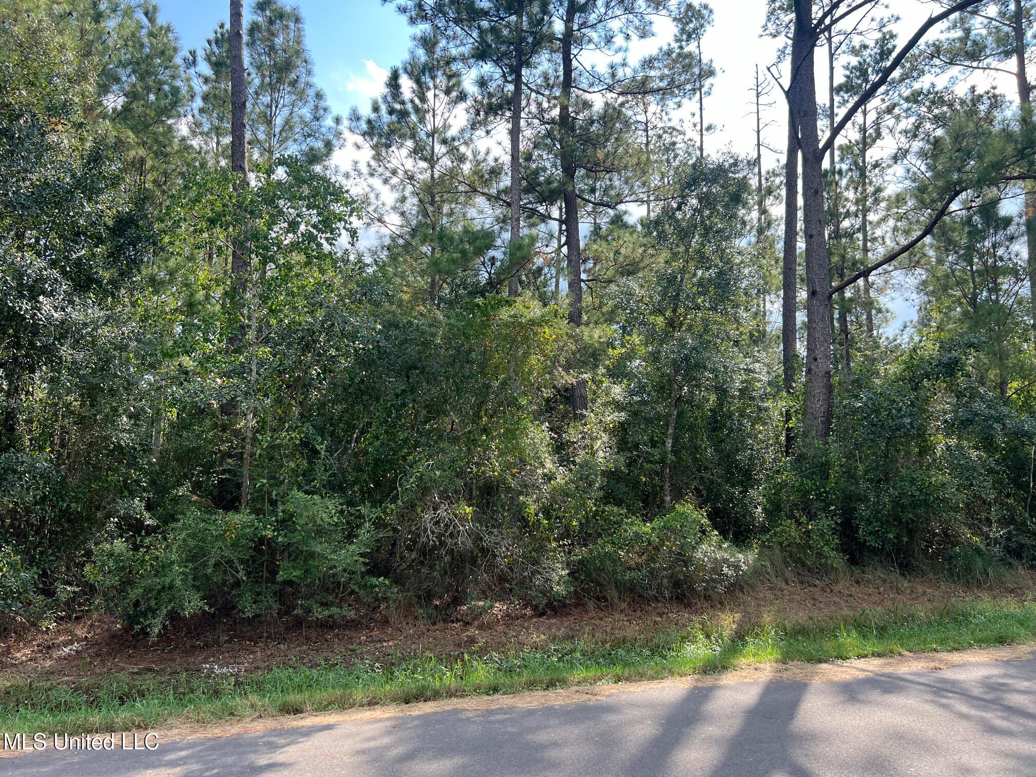 Tyler Street, Bay Saint Louis, Mississippi image 1