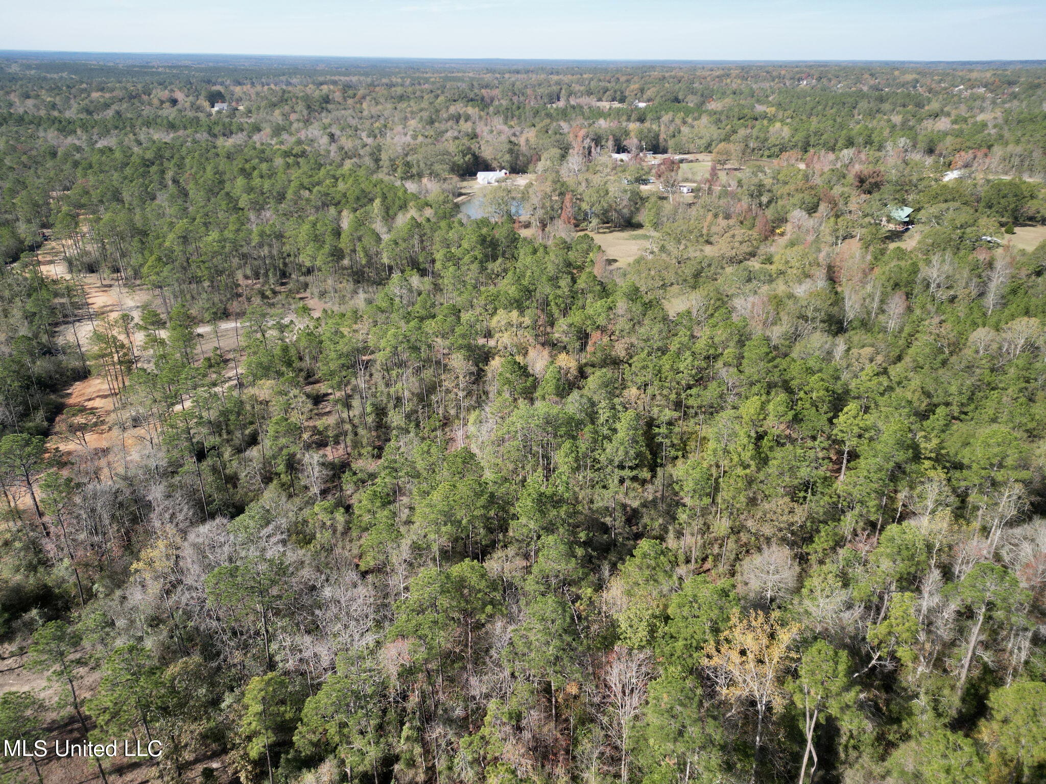 Lot 16 Laughlin Lane, Poplarville, Mississippi image 3