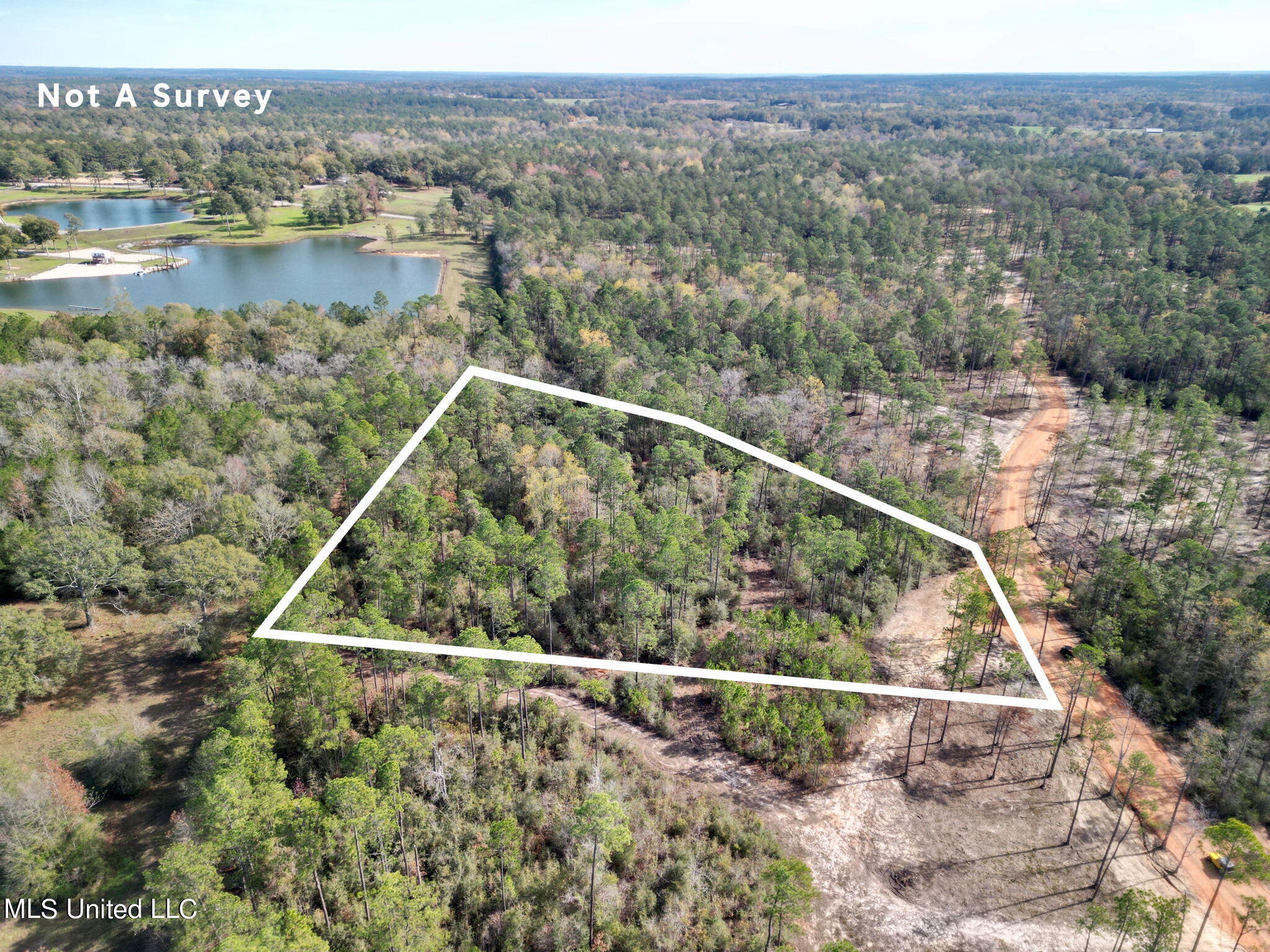 Lot 16 Laughlin Lane, Poplarville, Mississippi image 1