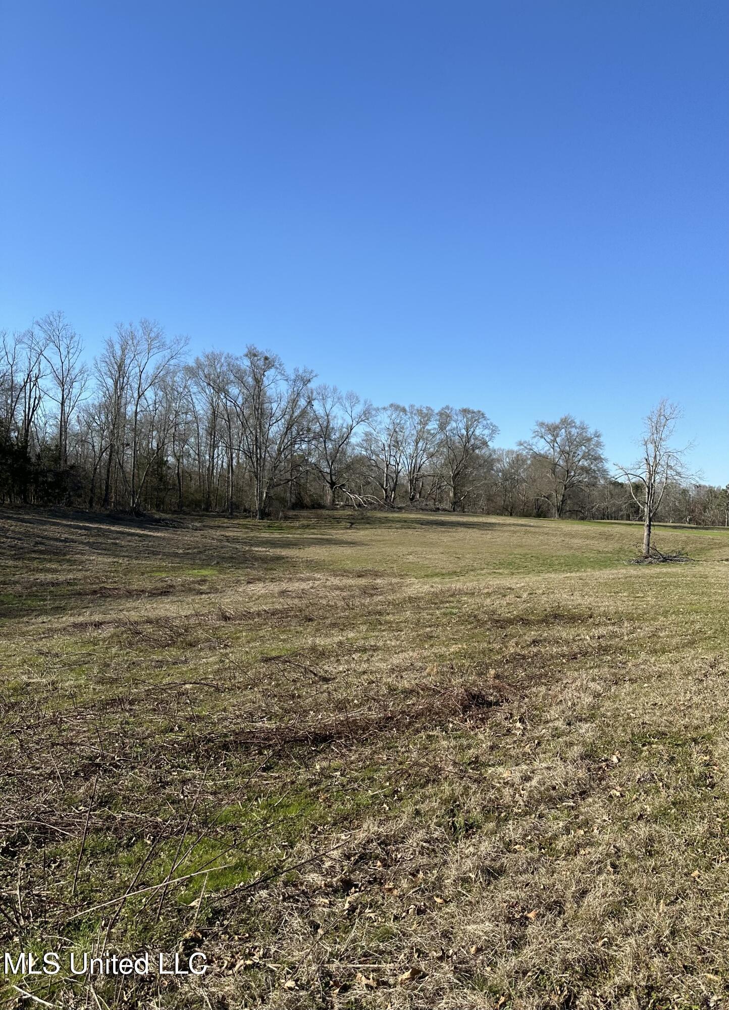 Chichester Road Road, Edwards, Mississippi image 9