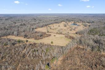 Chichester Road Road, Edwards, Mississippi image 3