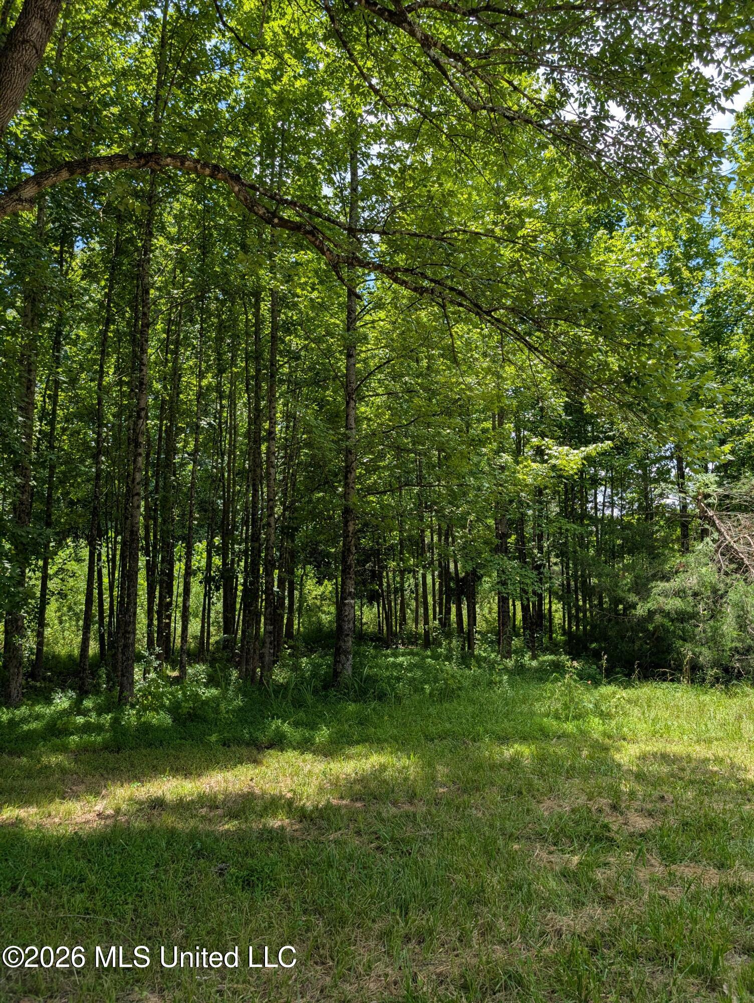 Photo 1 of 3 — 109 W Caldwell Road, Booneville, MS 38829