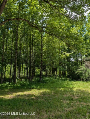 109 W CALDWELL RD, BOONEVILLE, MS 38829 - Image 6b3b9d7678ad22732ca3ec00ac282f4f/826849055
