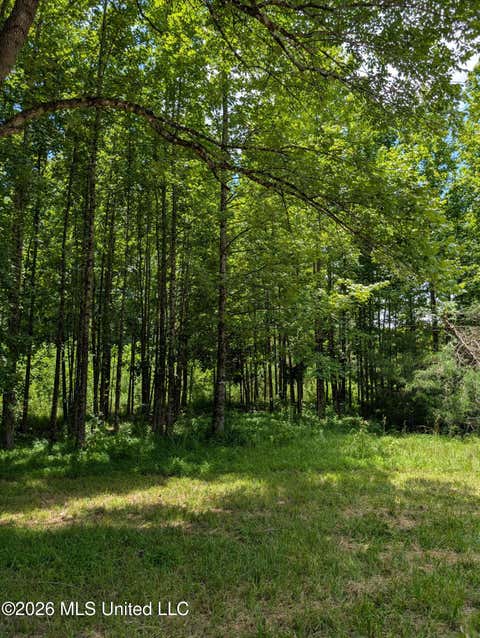 Vacant Land For Sale - 109 W Caldwell Road<br/> Booneville, MS 38829