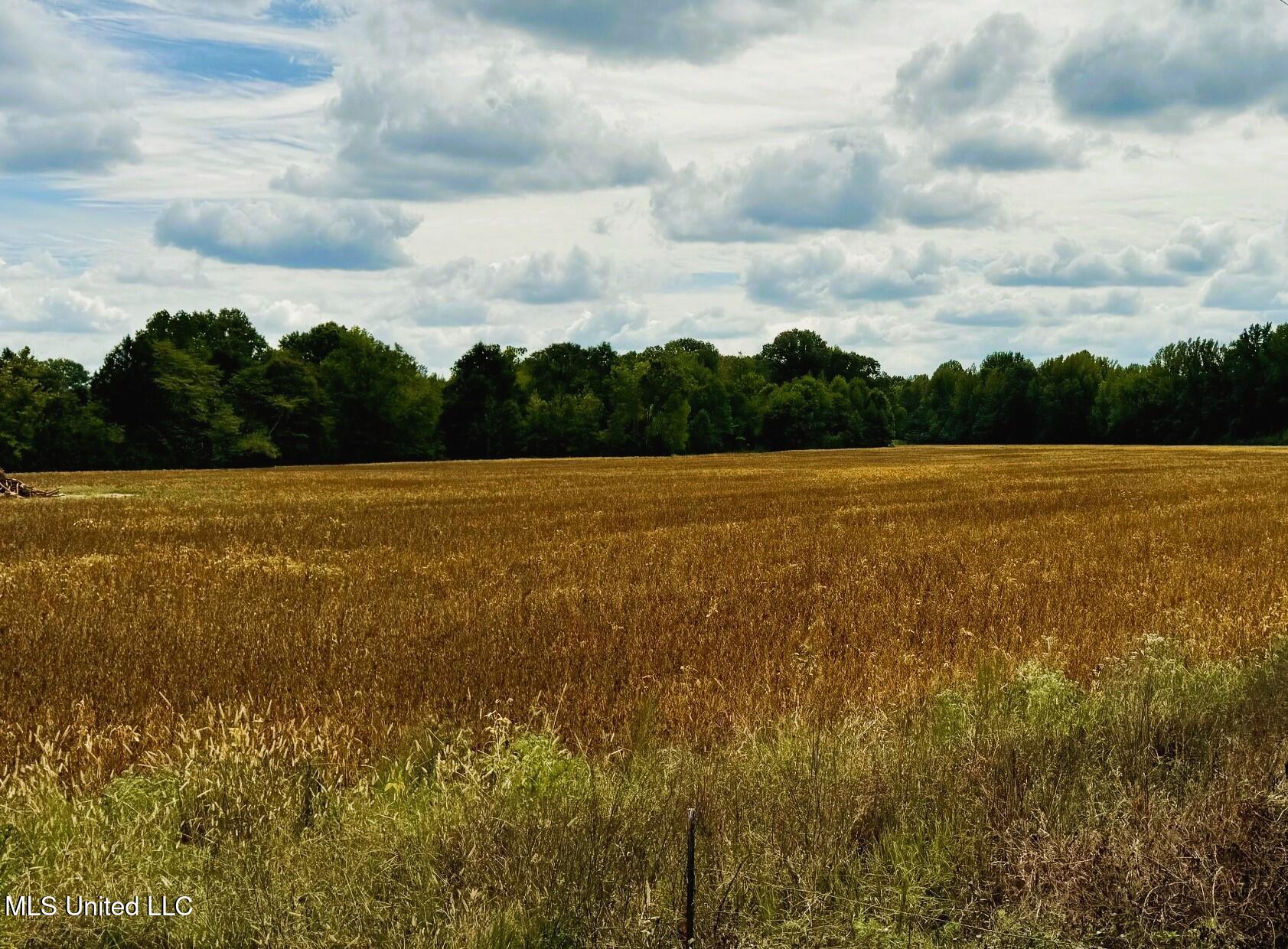 Tbd Cr 331, Banner, Mississippi image 9