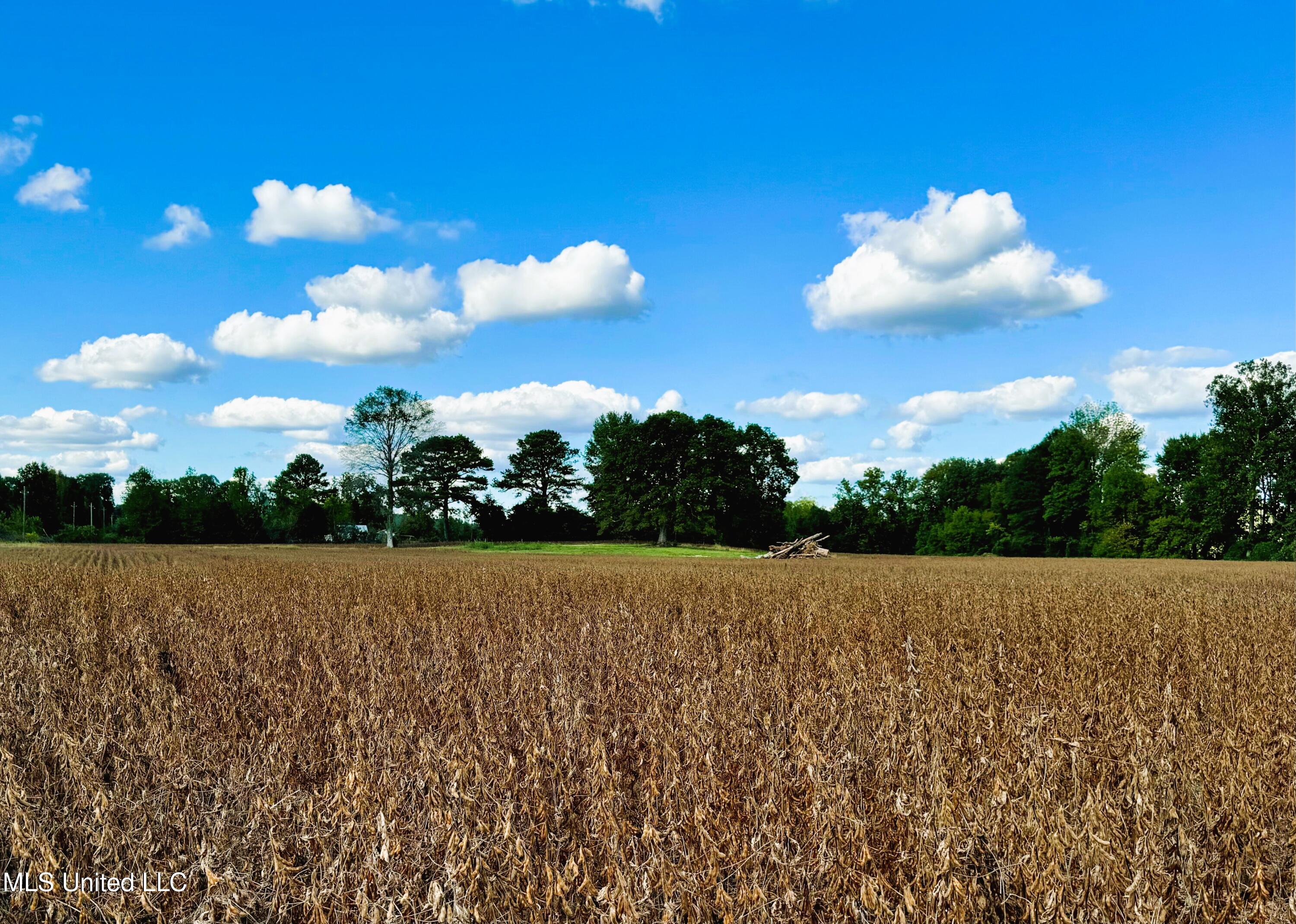 Tbd Cr 331, Banner, Mississippi image 1