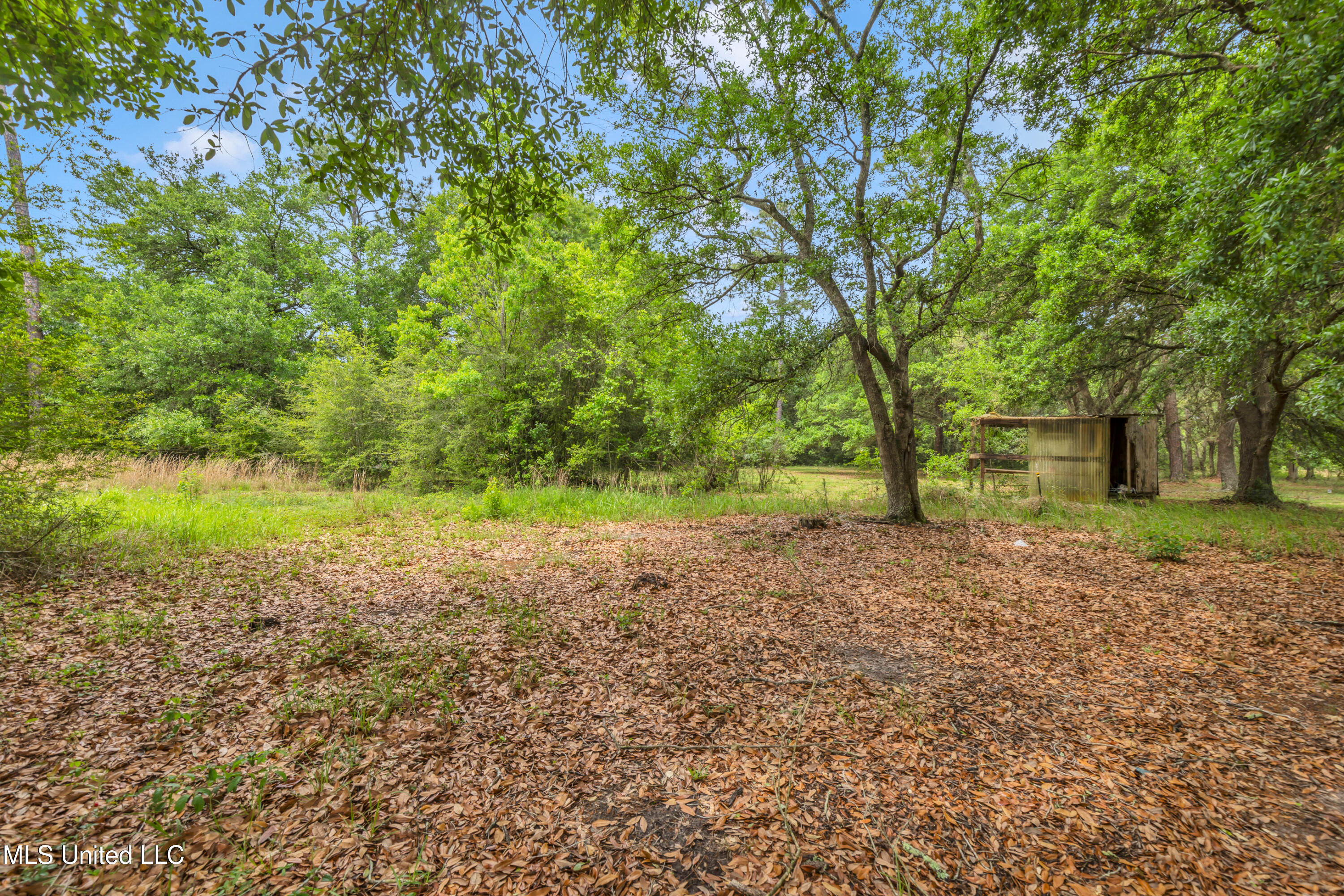 11300 Max Bryant Road, Moss Point, Mississippi image 15