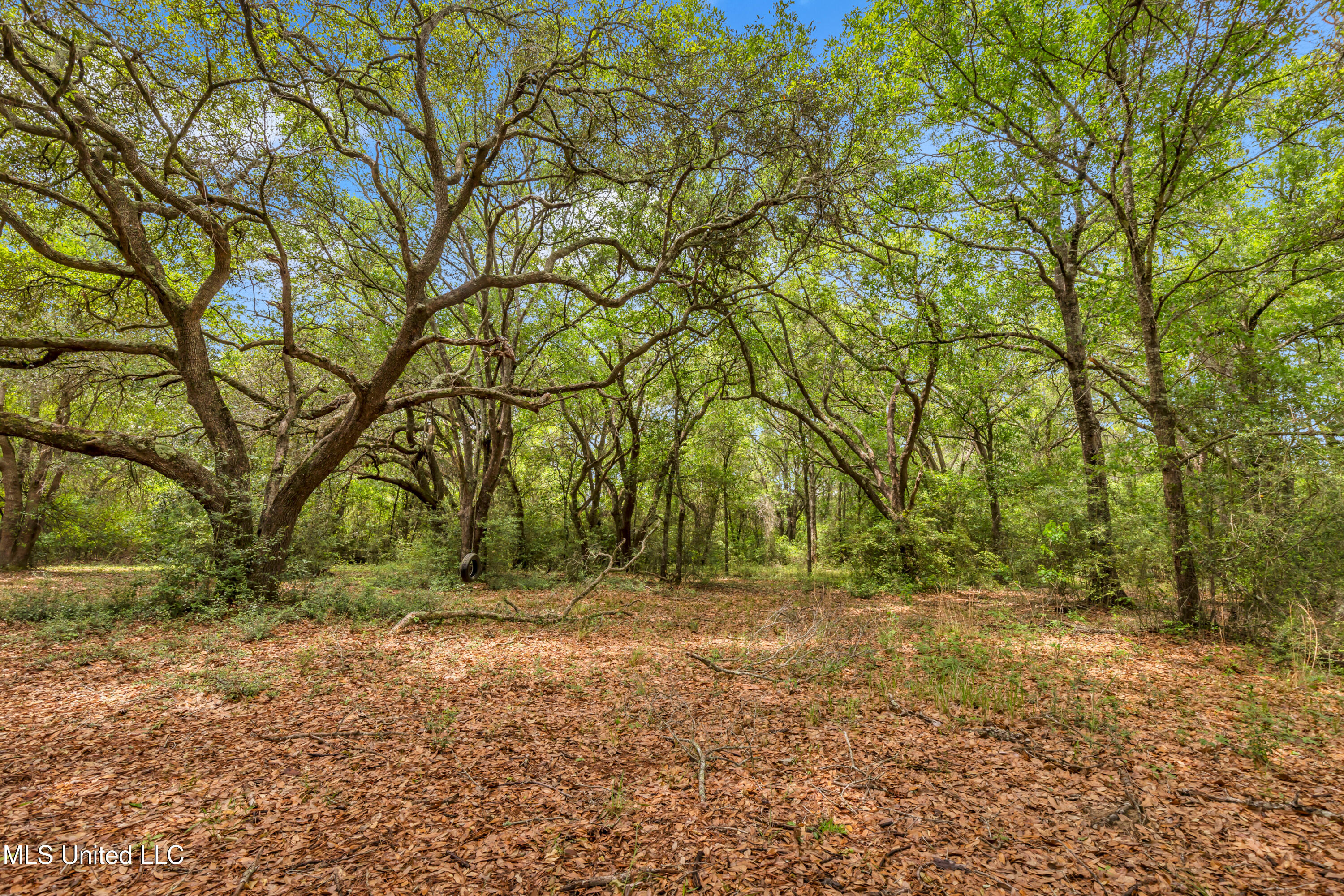 11300 Max Bryant Road, Moss Point, Mississippi image 22