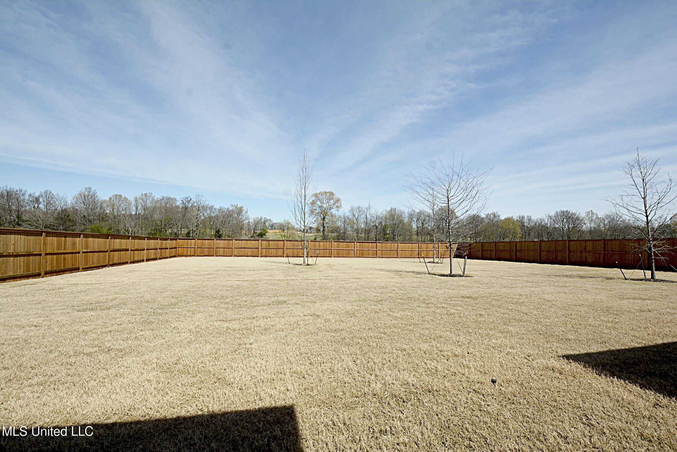 2194 Livingston Way, Hernando, Mississippi image 45