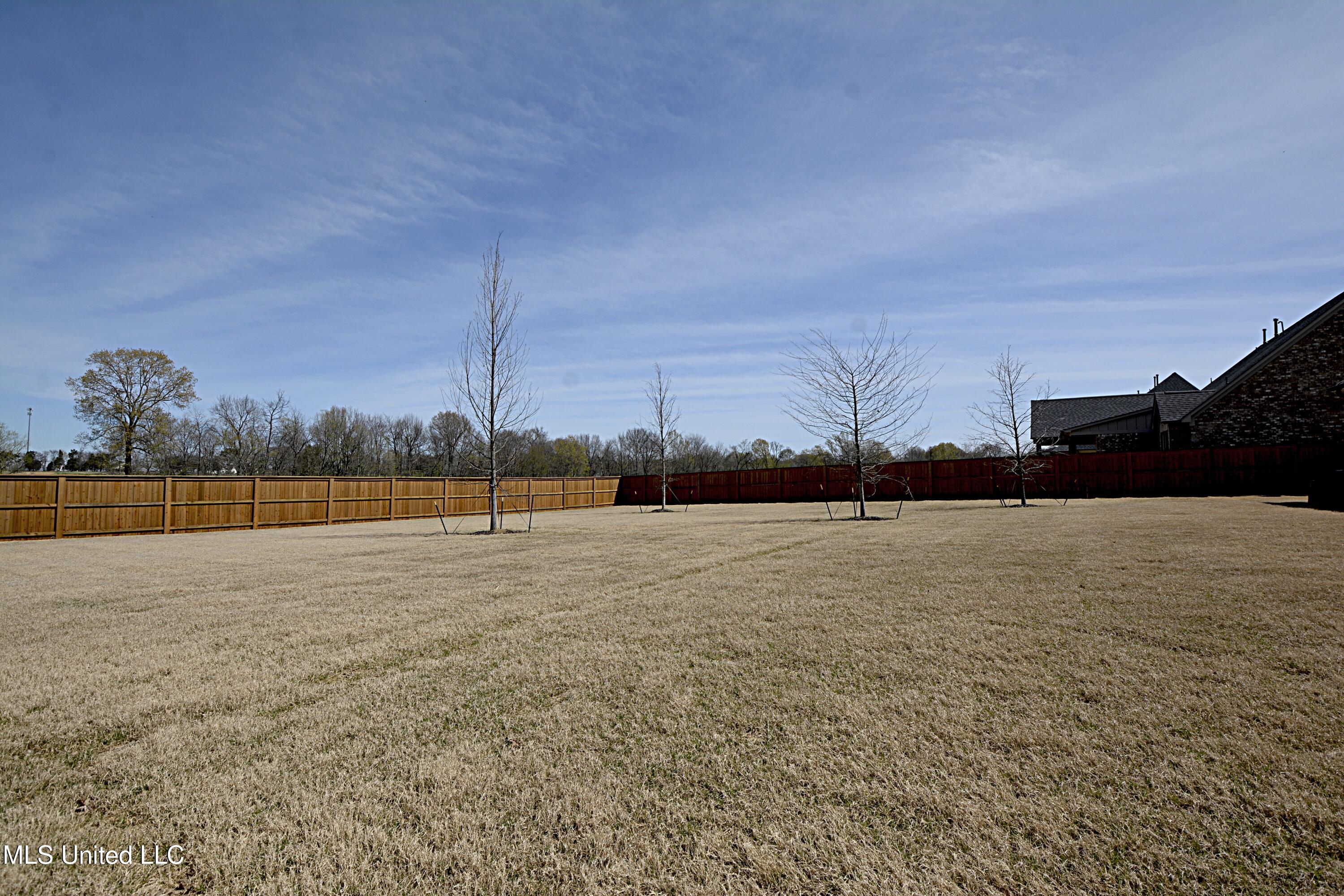 2194 Livingston Way, Hernando, Mississippi image 46