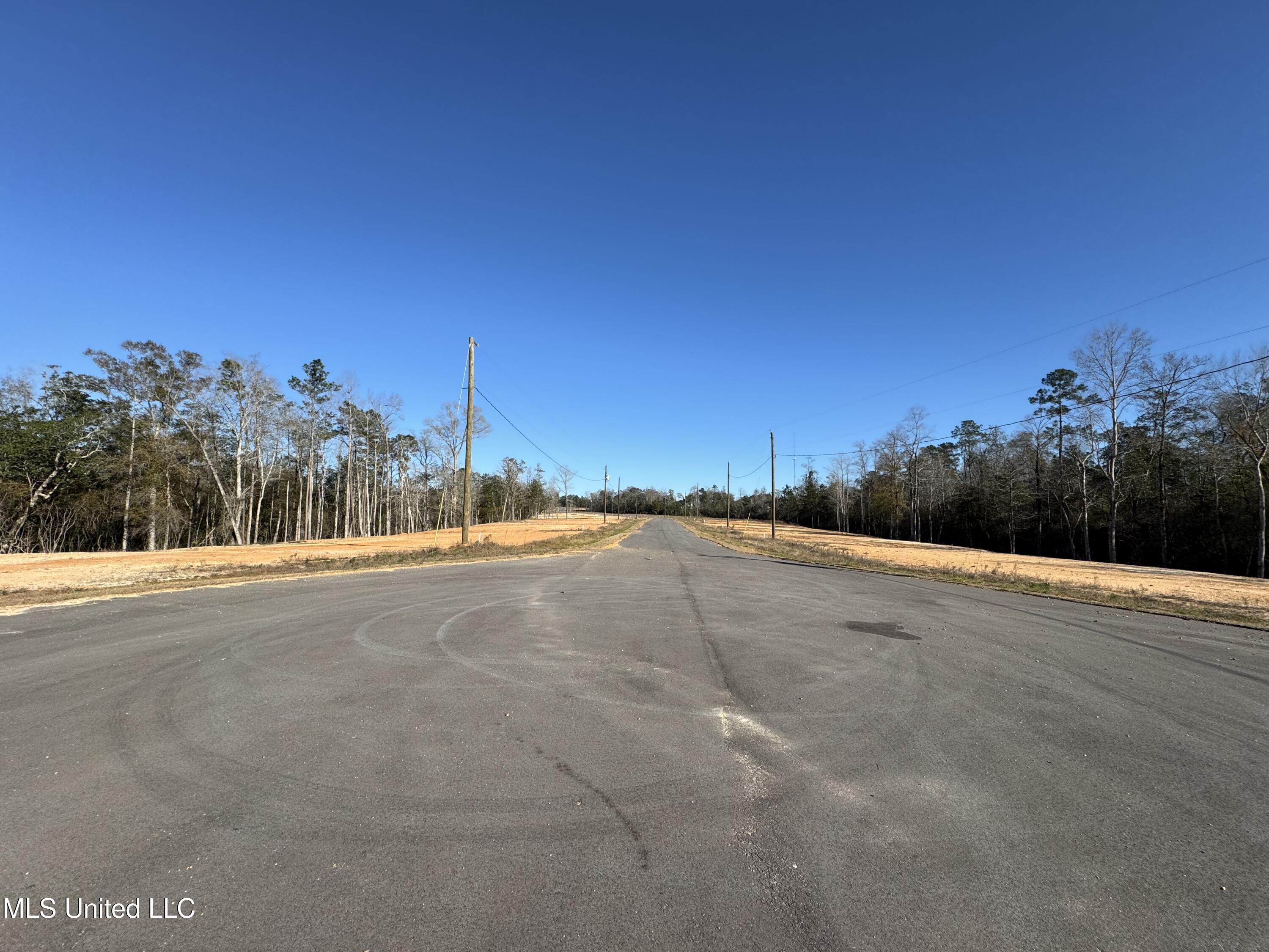 Shadow Wood  - Lot 2 Drive, Perkinston, Mississippi image 2