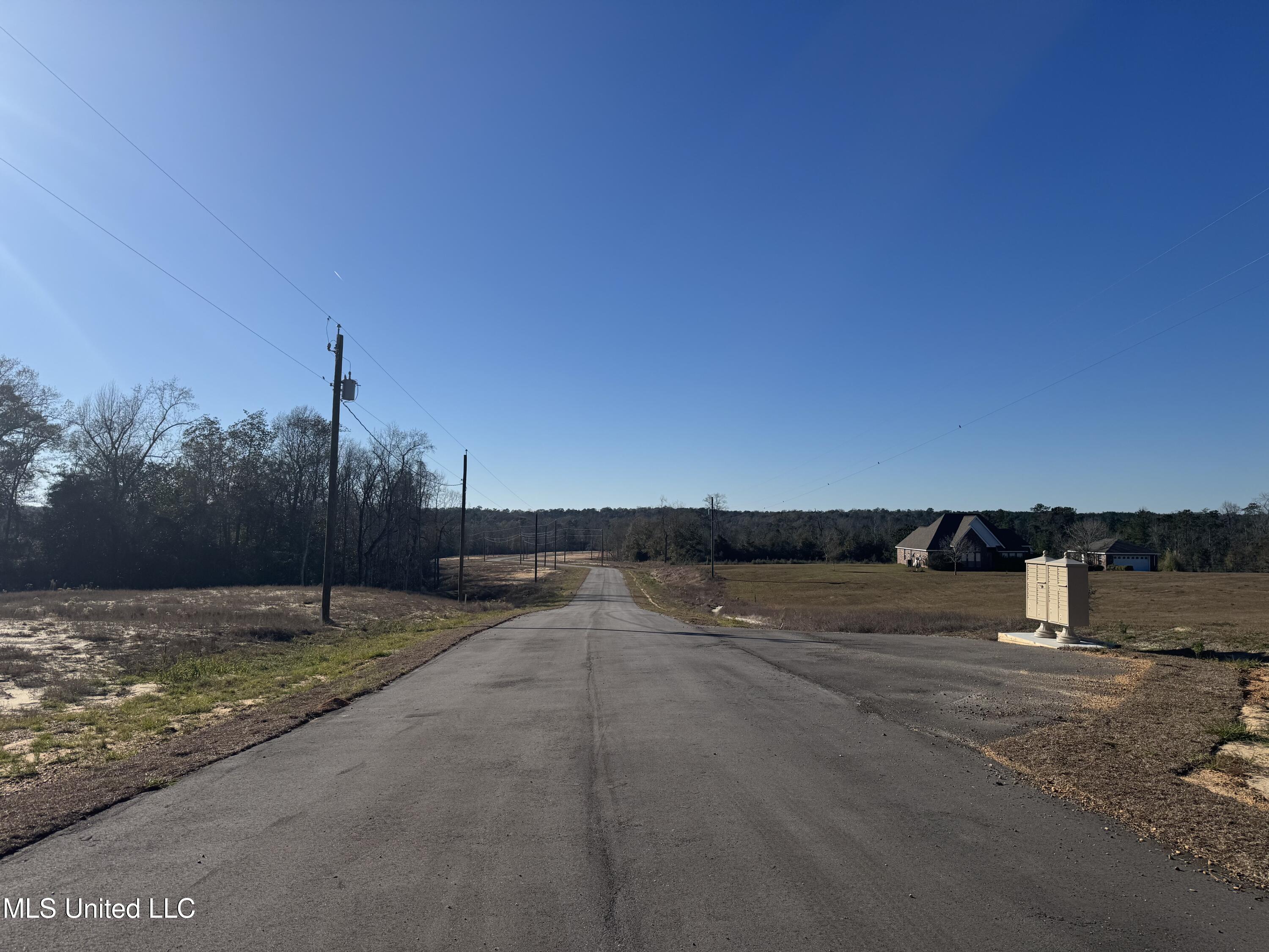 Shadow Wood  - Lot 2 Drive, Perkinston, Mississippi image 1