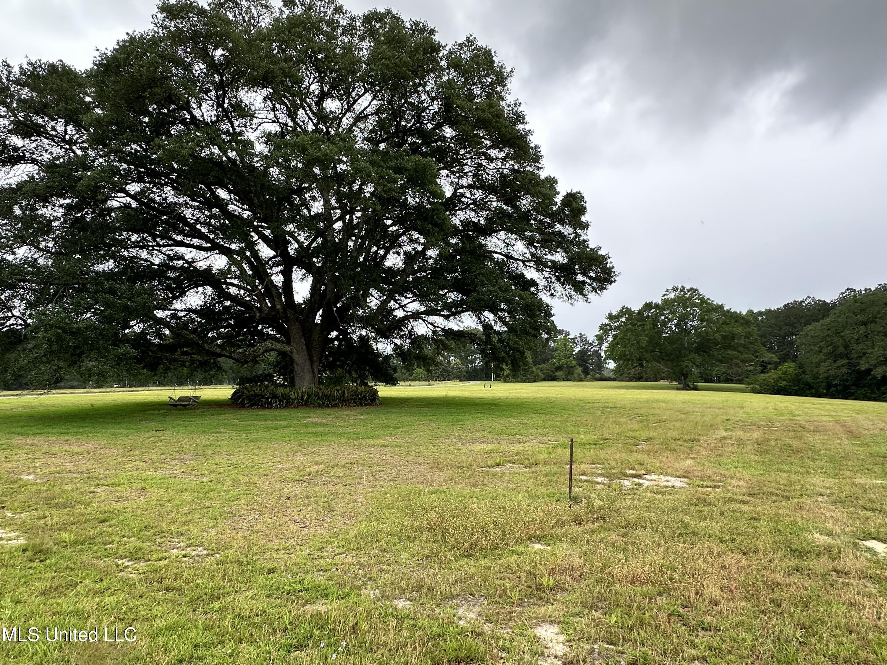 88 W Virgil Lewis Road, Carriere, Mississippi image 32