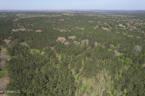 Vacant Land For Sale - Hwy 43<br/> Kosciusko, MS 39090