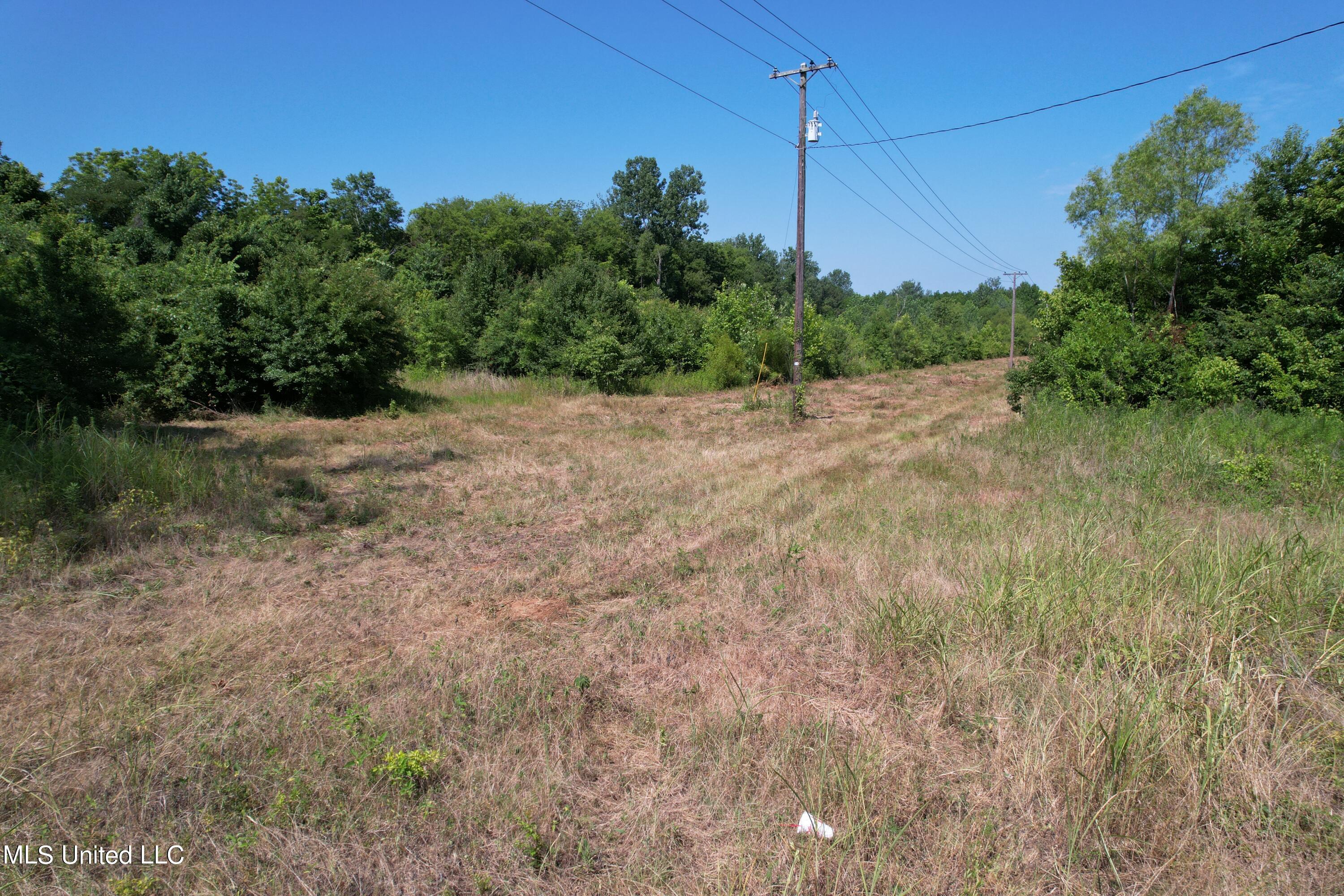 North Street, New Albany, Mississippi image 16