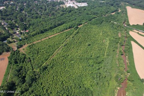 Vacant Land For Sale - North Street<br/> New Albany, MS 38652