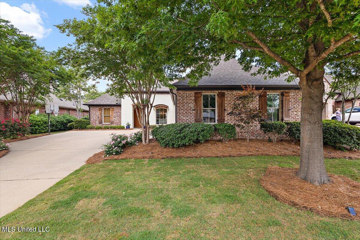 120 Lake Village Drive, Madison, Mississippi image 2