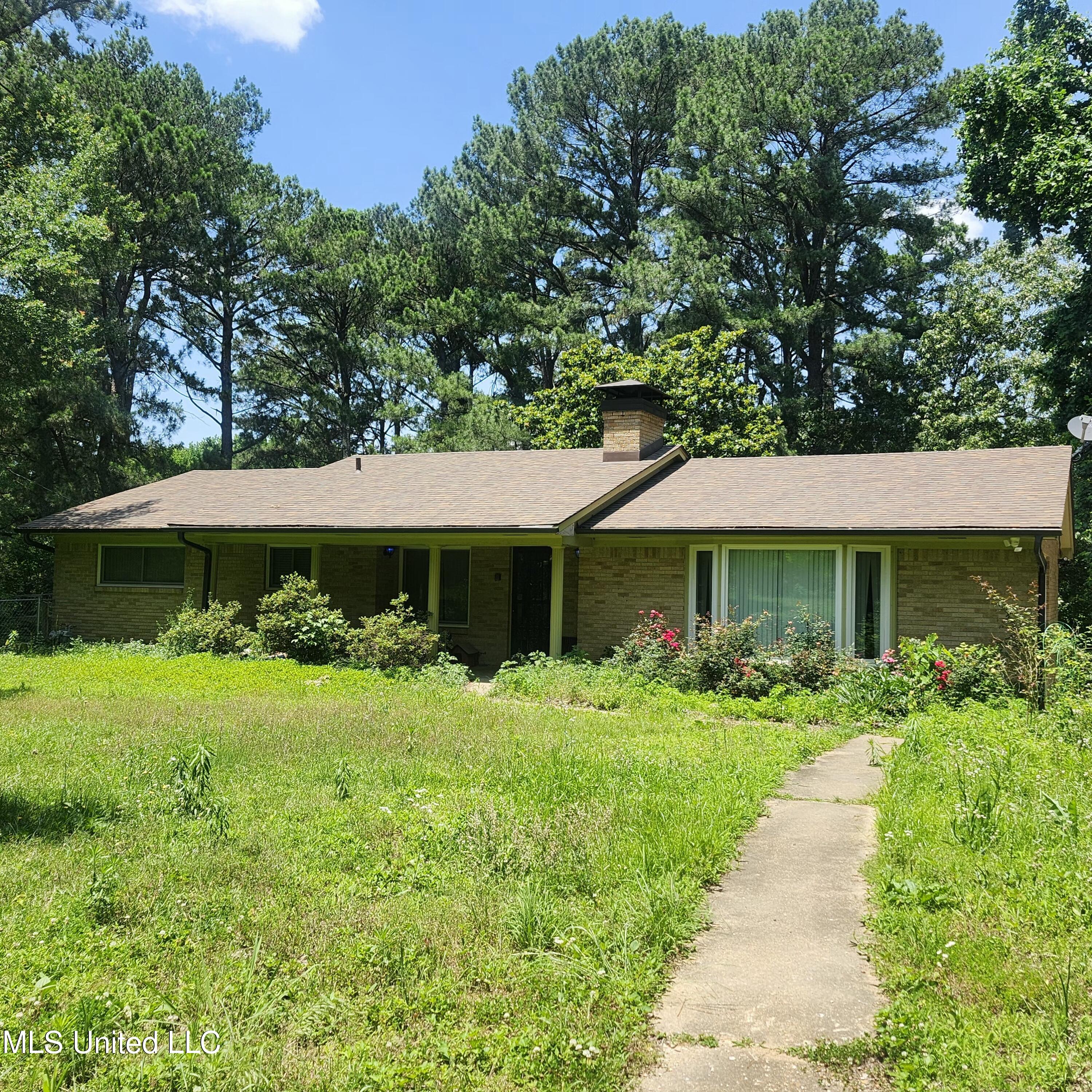 7715 Ellendale Road, Olive Branch, Mississippi image 3