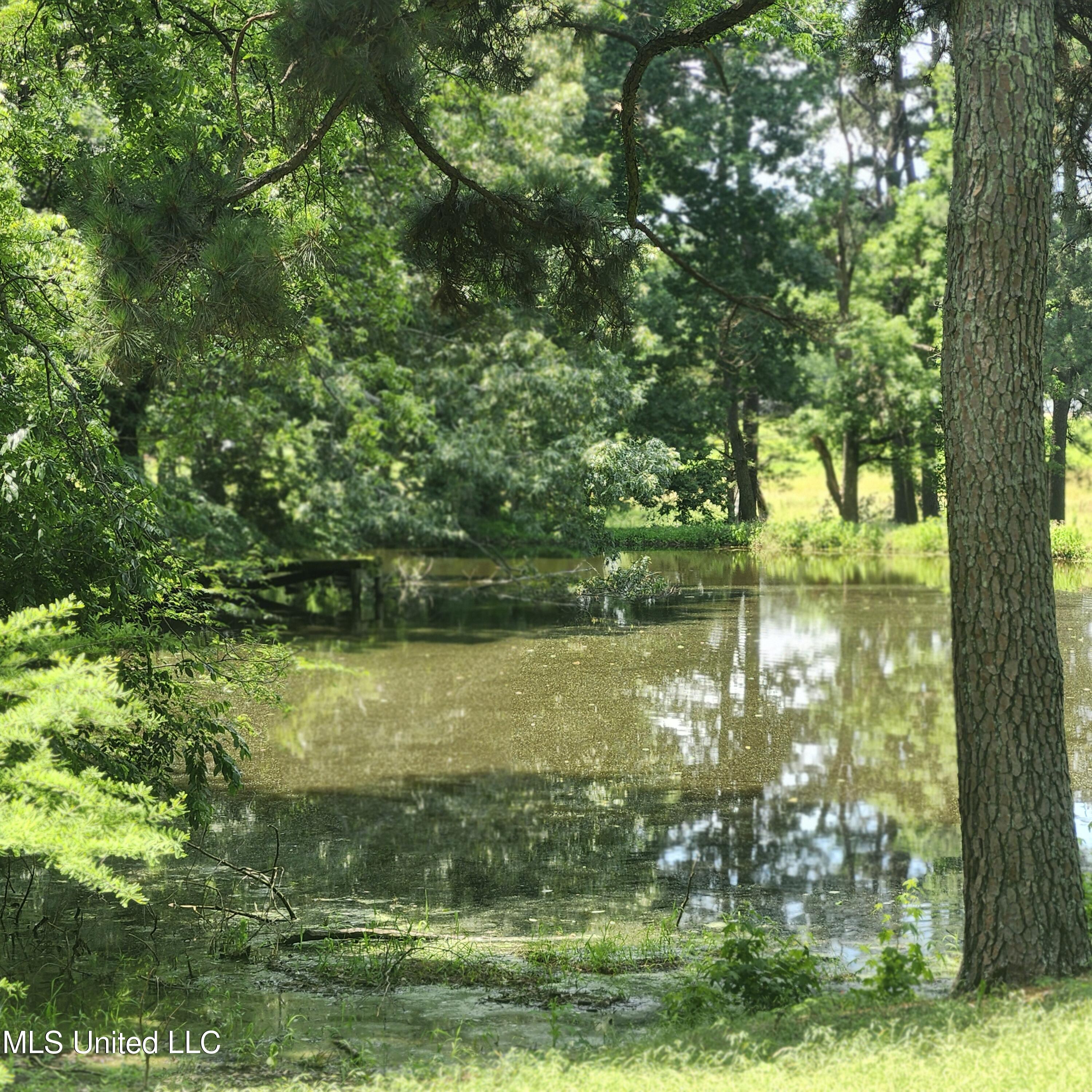 7715 Ellendale Road, Olive Branch, Mississippi image 5