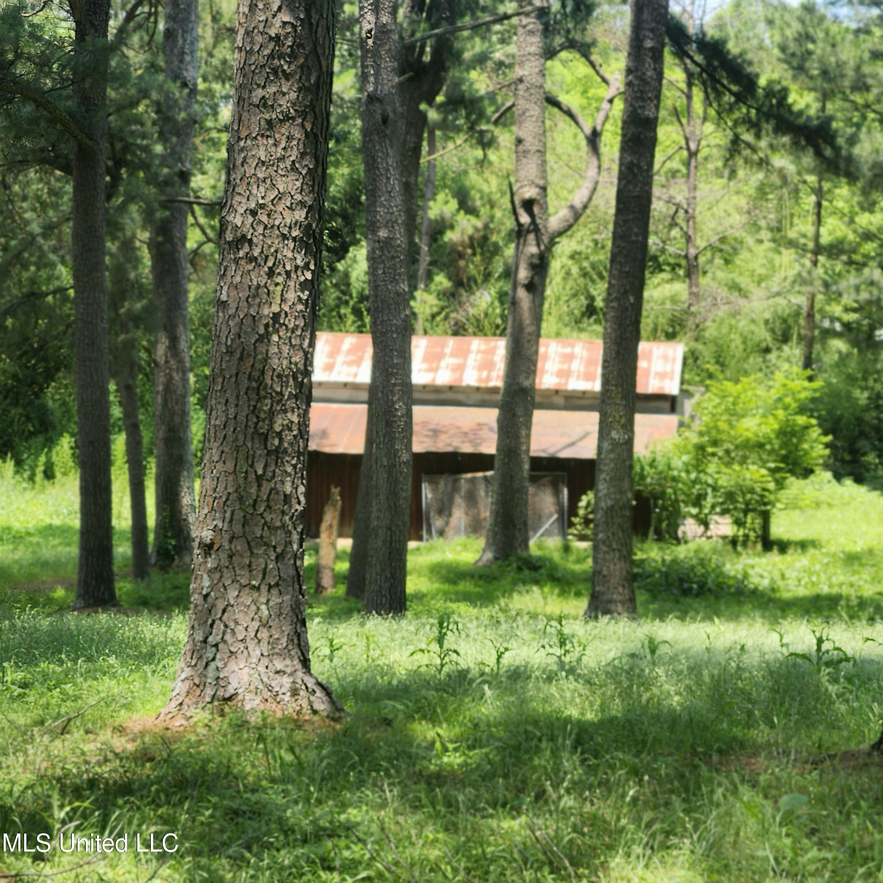 7715 Ellendale Road, Olive Branch, Mississippi image 6