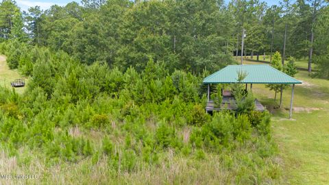 Vacant Land For Sale - Burnt Pine Road<br/> Leakesville, MS 39451