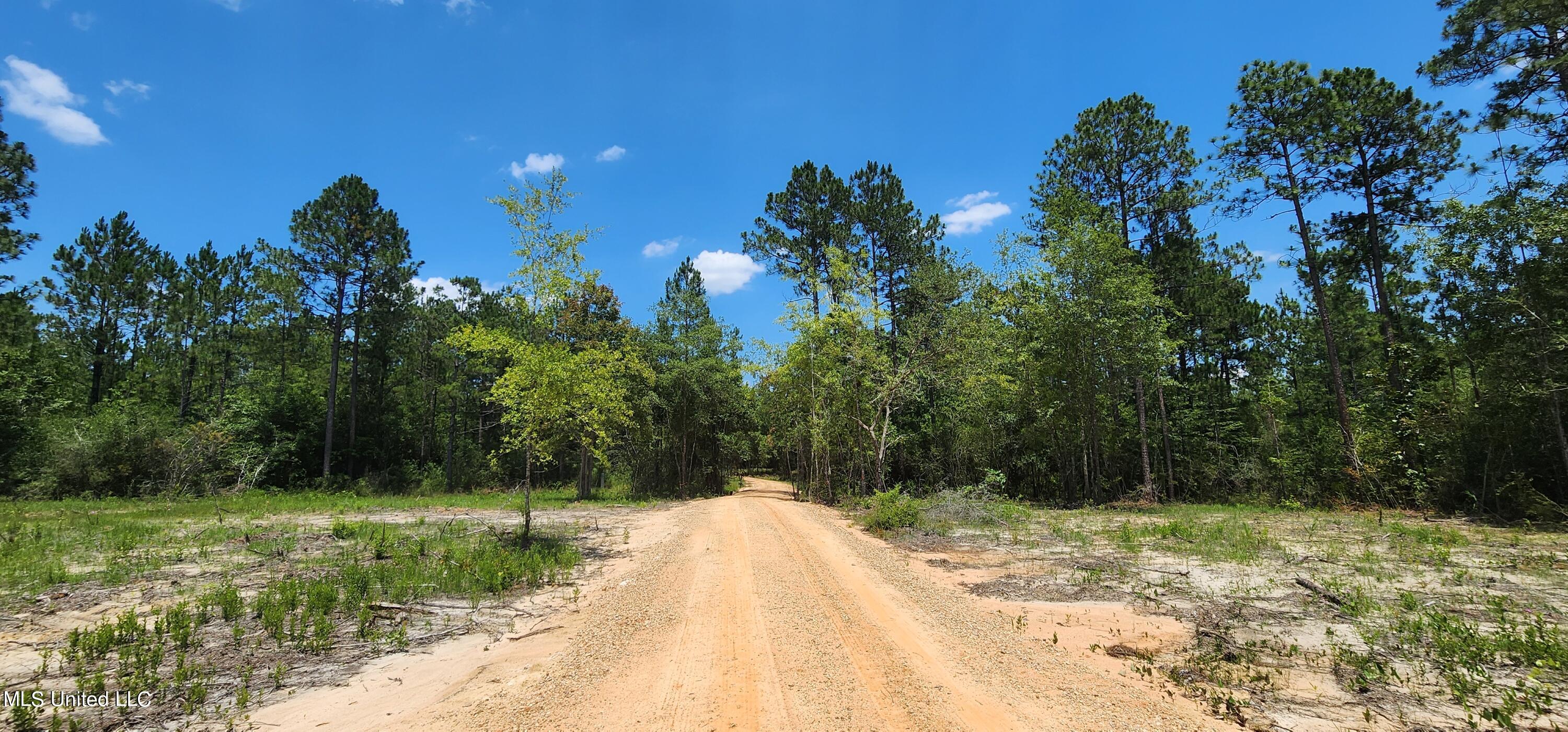 Saucier Lizana Road, Gulfport, Mississippi image 2