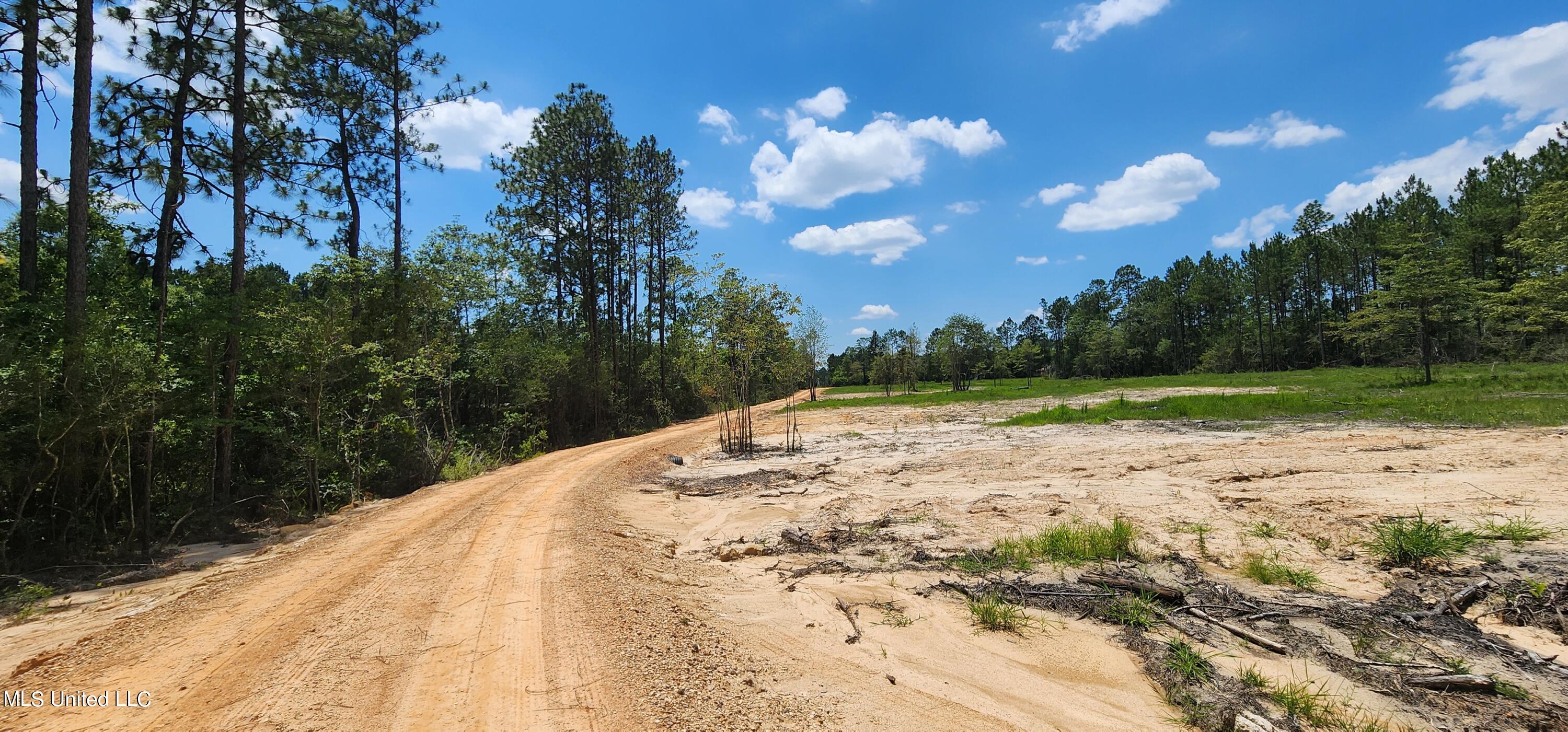 Saucier Lizana Road, Gulfport, Mississippi image 8