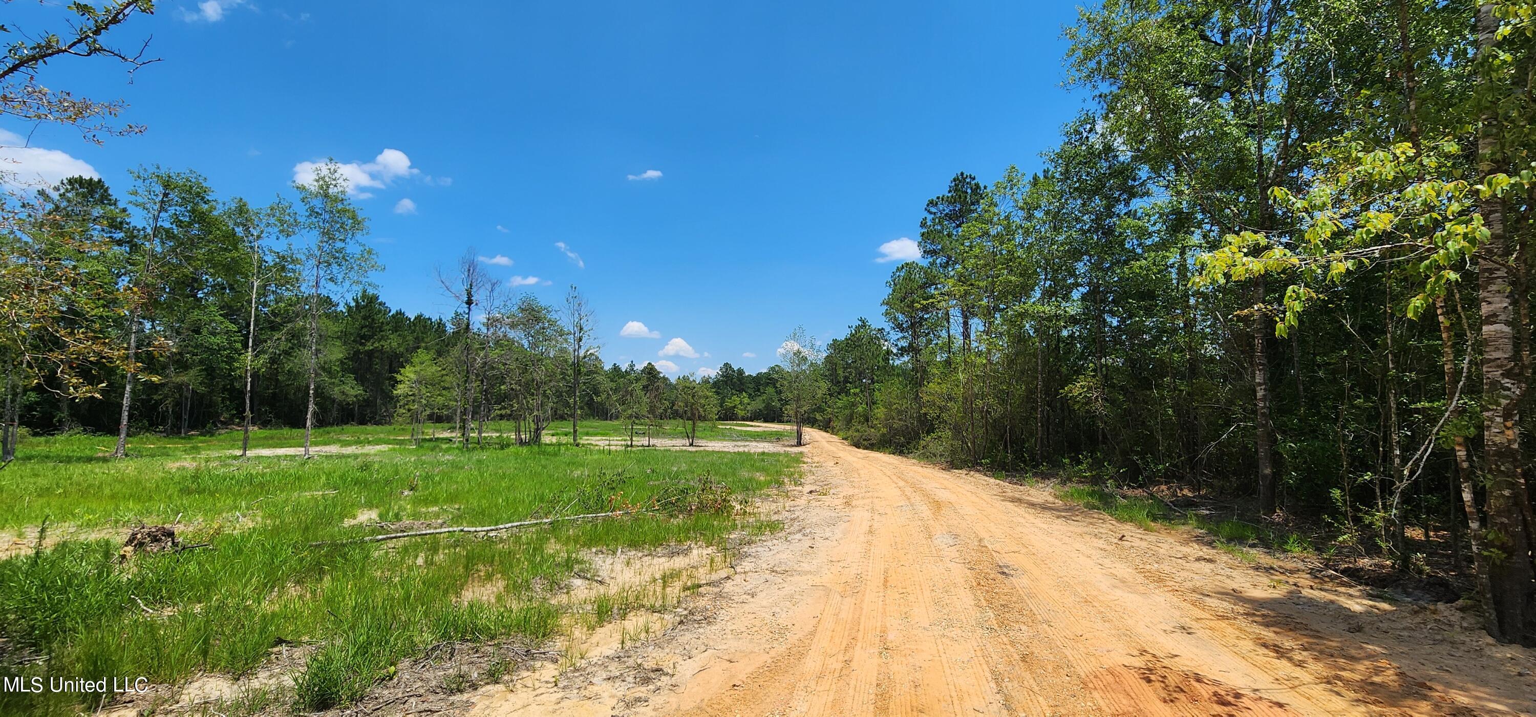 Saucier Lizana Road, Gulfport, Mississippi image 1