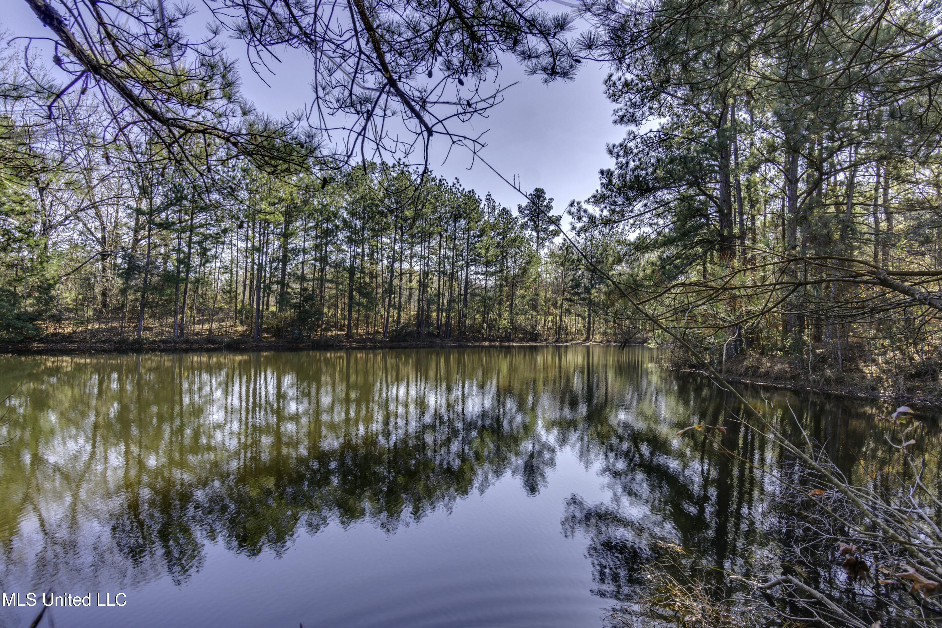 11283 Midway Road, Raymond, Mississippi image 7