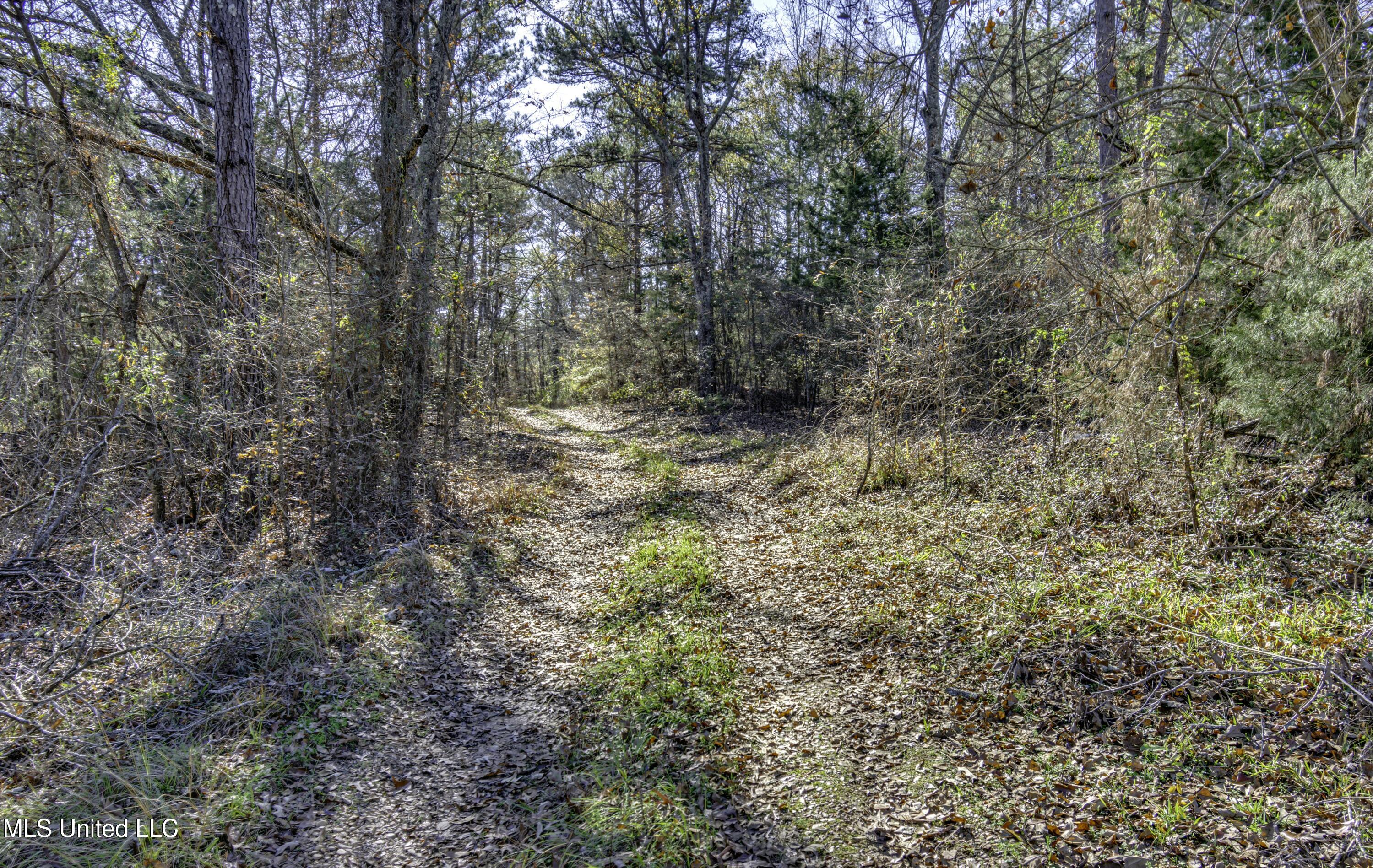 11283 Midway Road, Raymond, Mississippi image 11