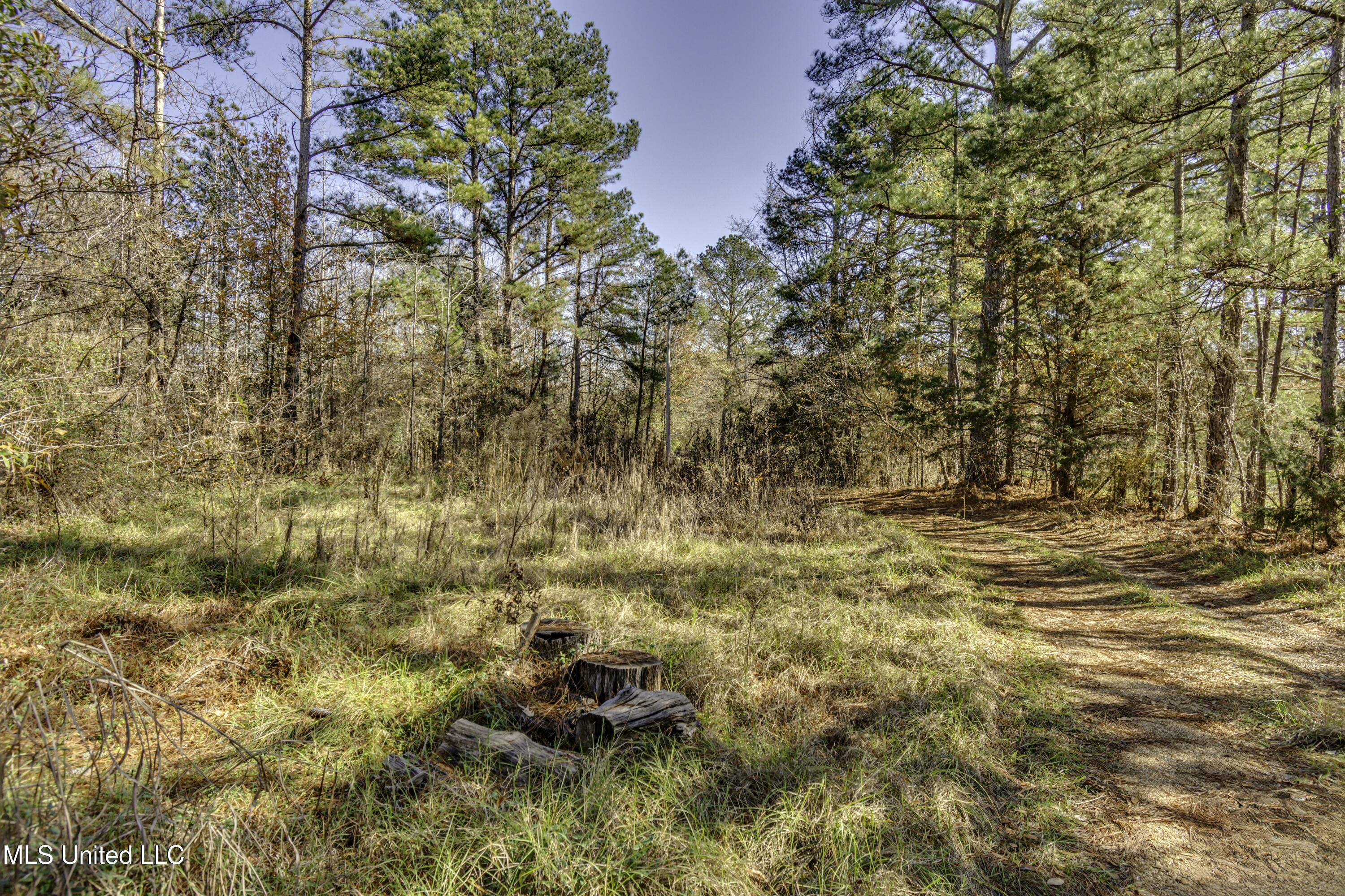 11283 Midway Road, Raymond, Mississippi image 9