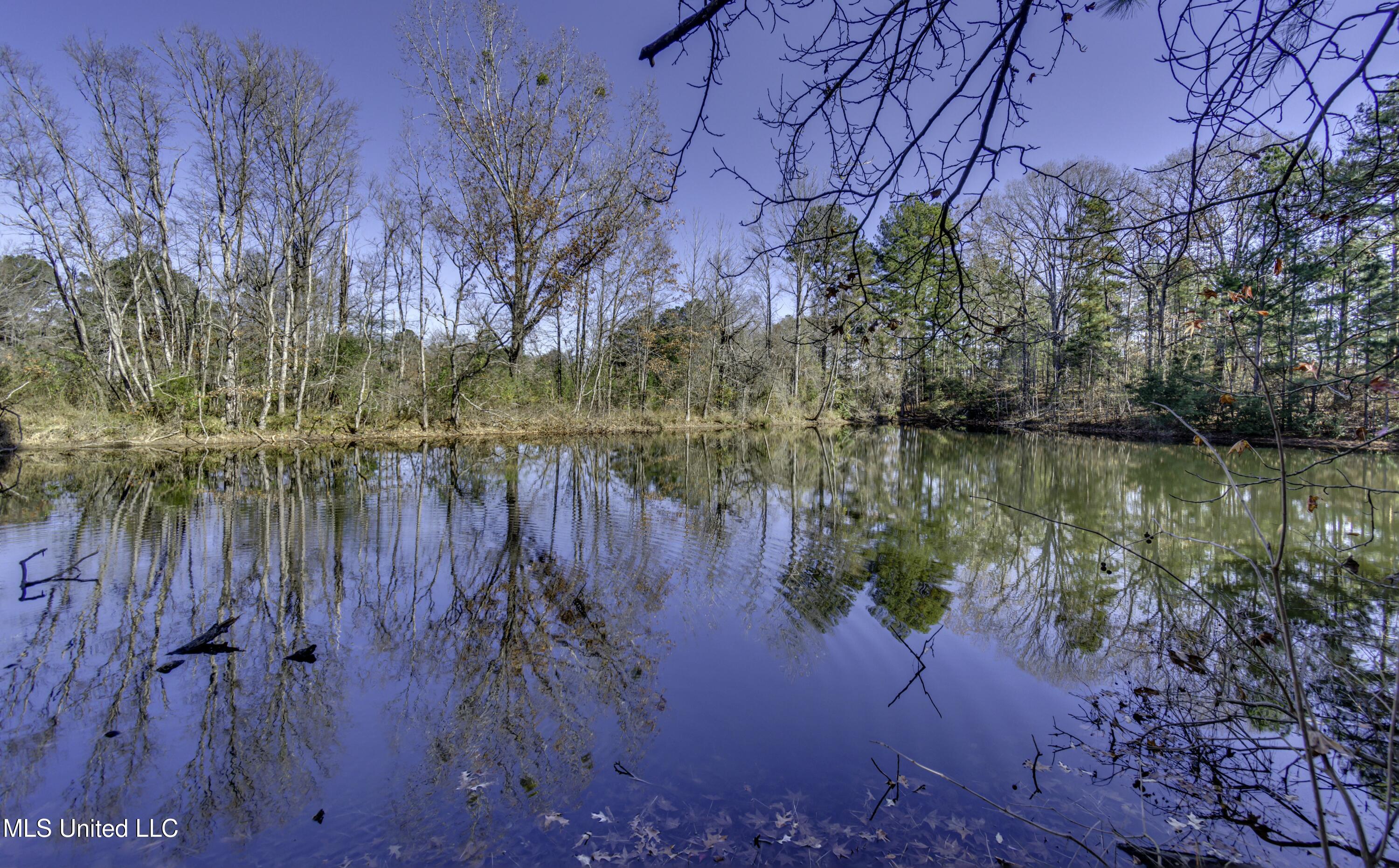 11283 Midway Road, Raymond, Mississippi image 8