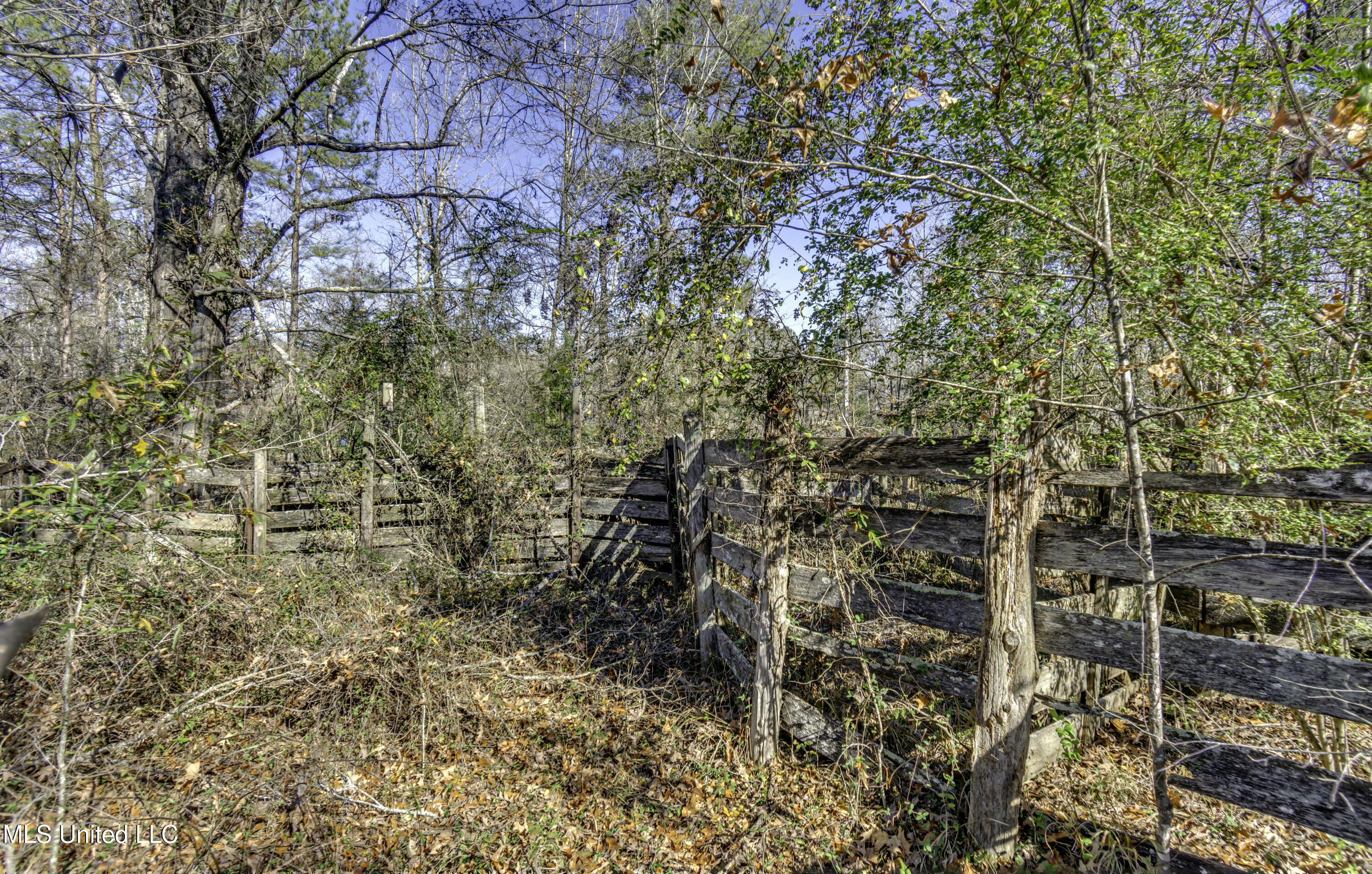 11283 Midway Road, Raymond, Mississippi image 12