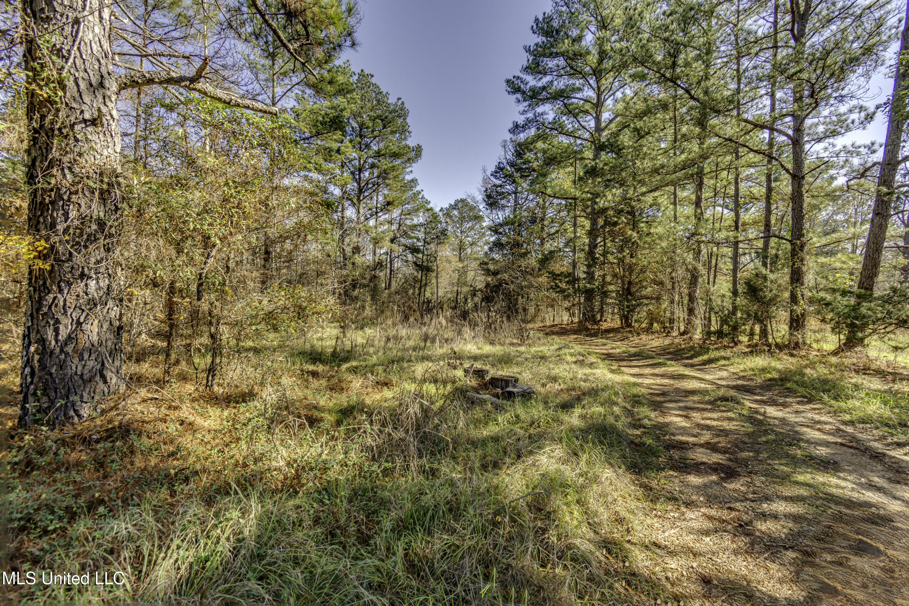 11283 Midway Road, Raymond, Mississippi image 10