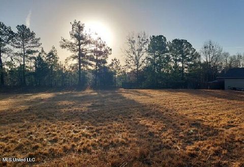 Vacant Land For Sale - 01 Chenoa Avenue<br/> Leake County, Carthage, MS 39051