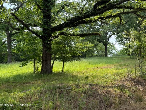 Vacant Land For Sale - Scales Road<br/> Scott County, Morton, MS 39117
