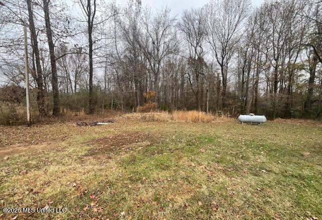 1340 Alonzo Gipson Road - Photo 3