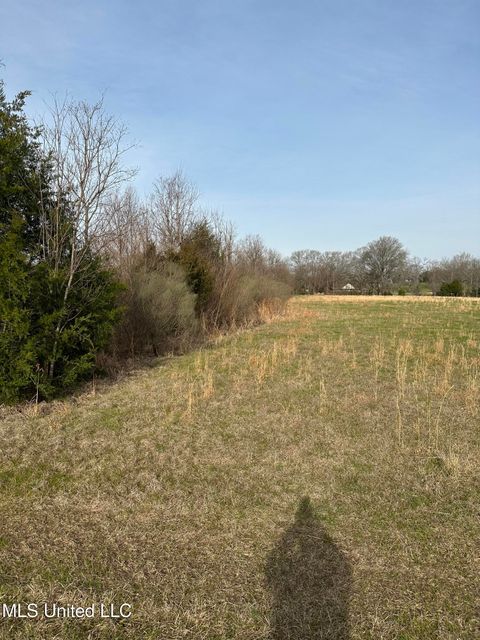 Vacant Land For Sale - Highway 469<br/> Florence, MS 39073
