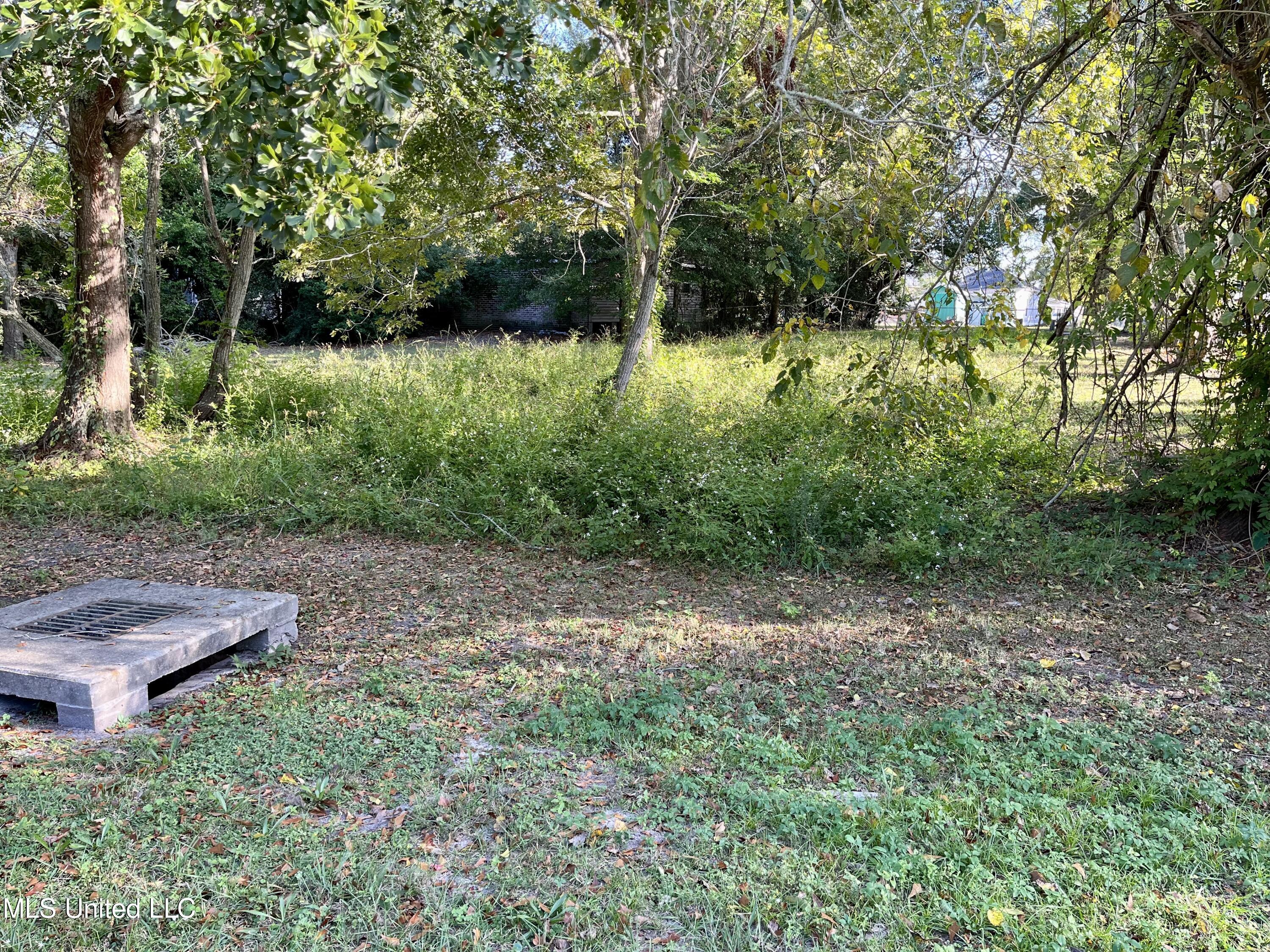 Lots 30&31 21st Street, Gulfport, Mississippi image 1