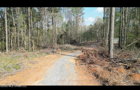 Vacant Land For Sale - 1961 Alton Graham Road<br/> Newton County, Conehatta, MS 39057